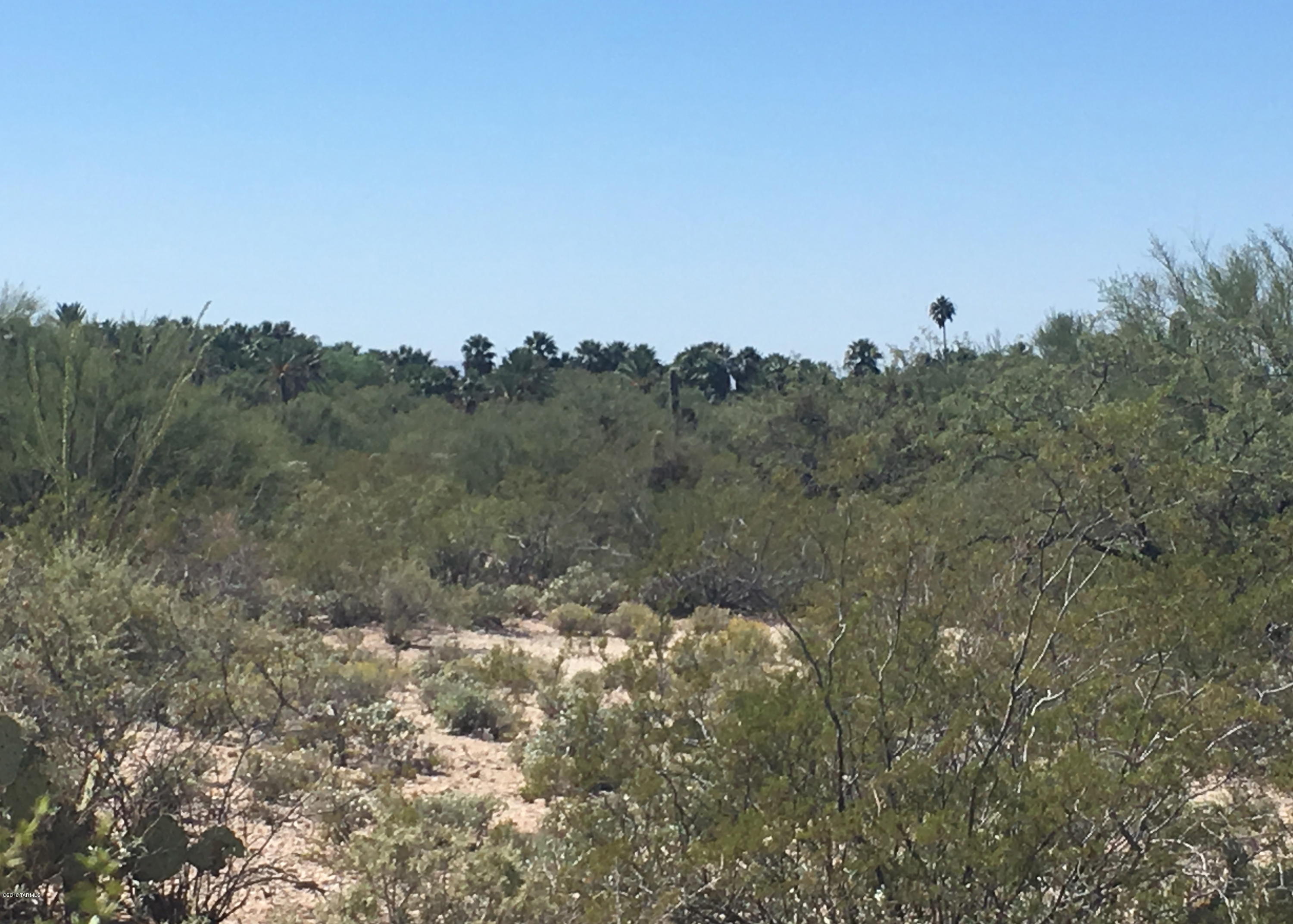 Agua Caliente Estates (1-82) - Land