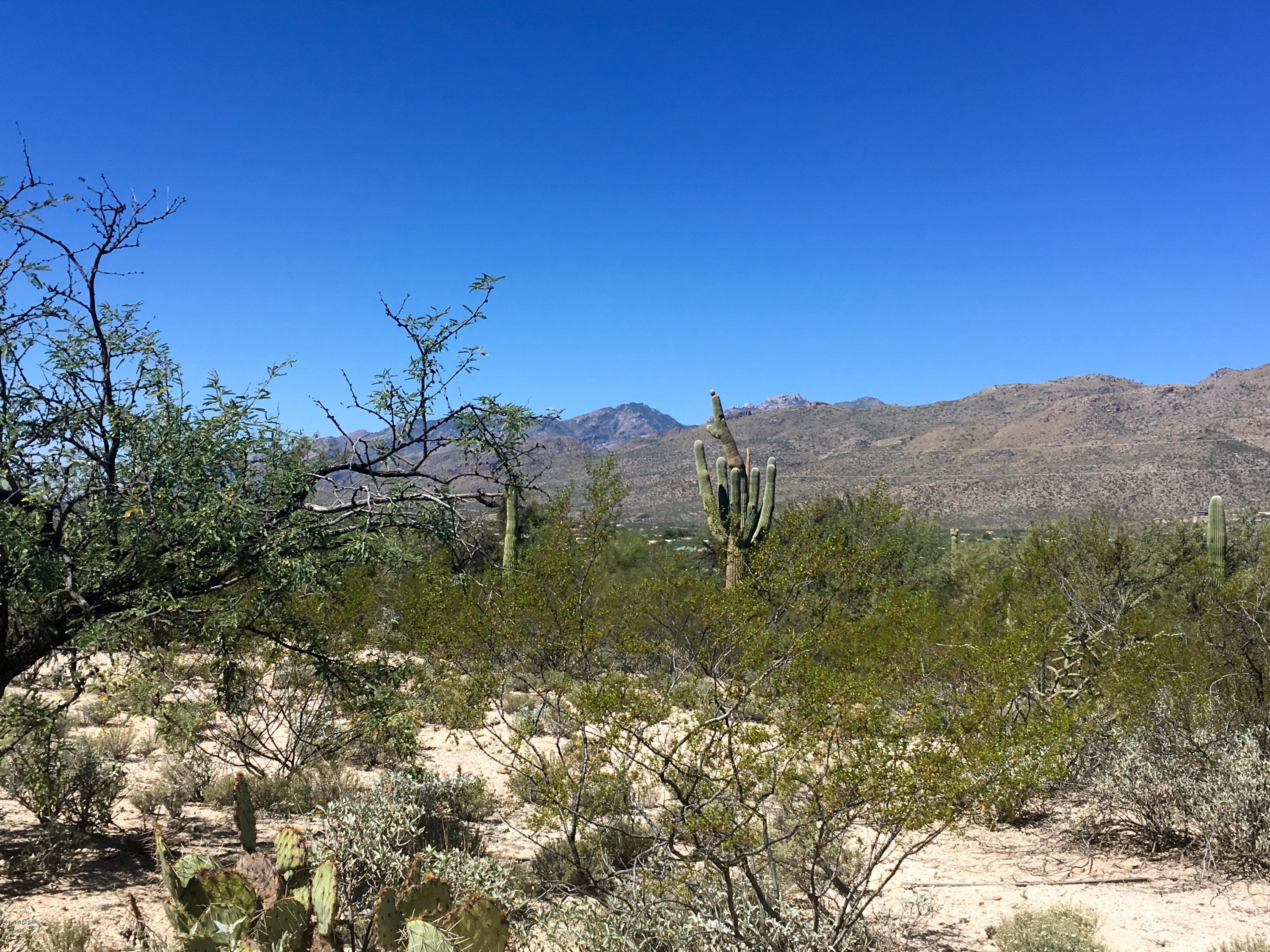 Agua Caliente Estates (1-82) - Land