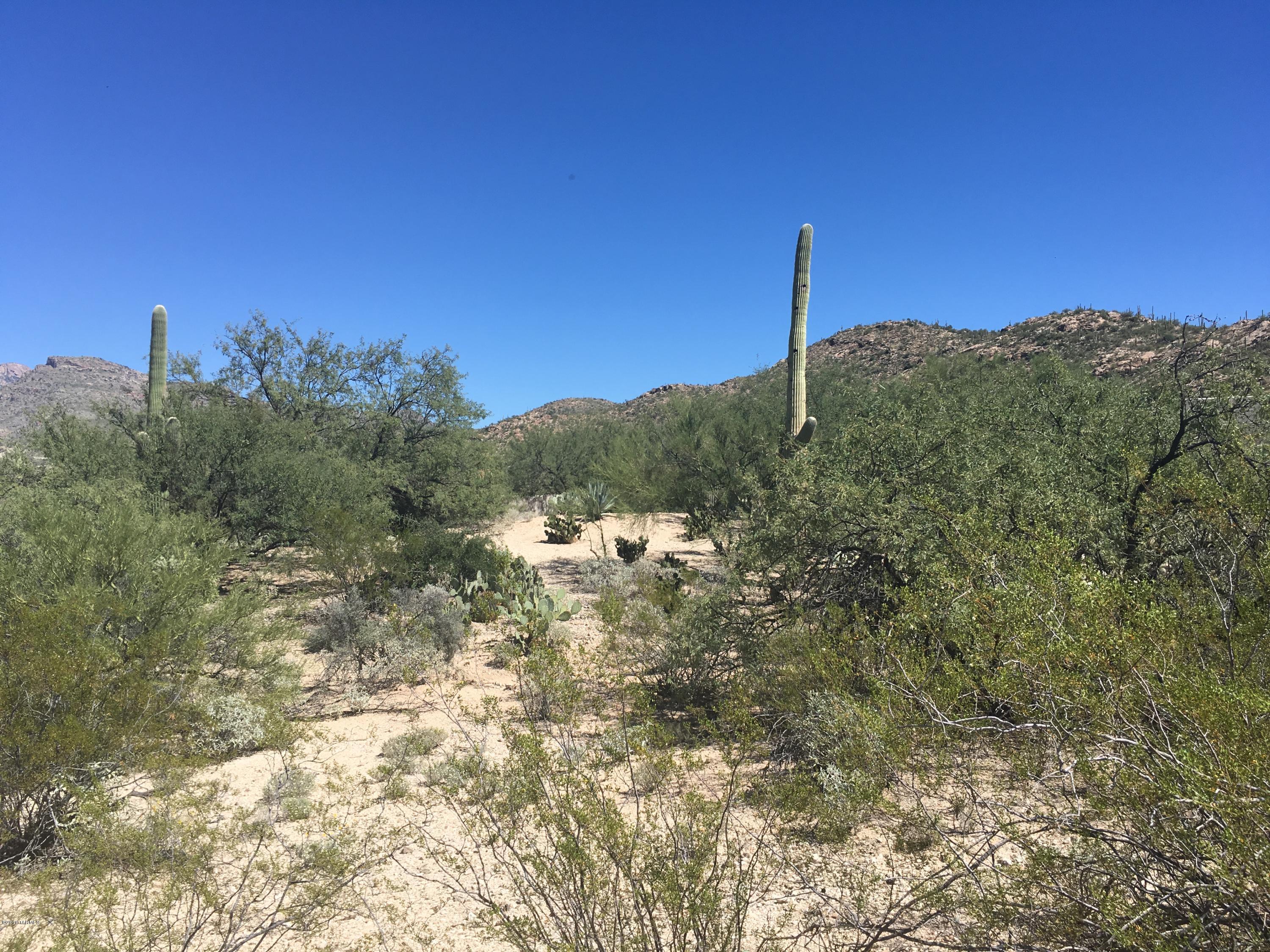Agua Caliente Estates (1-82) - Land