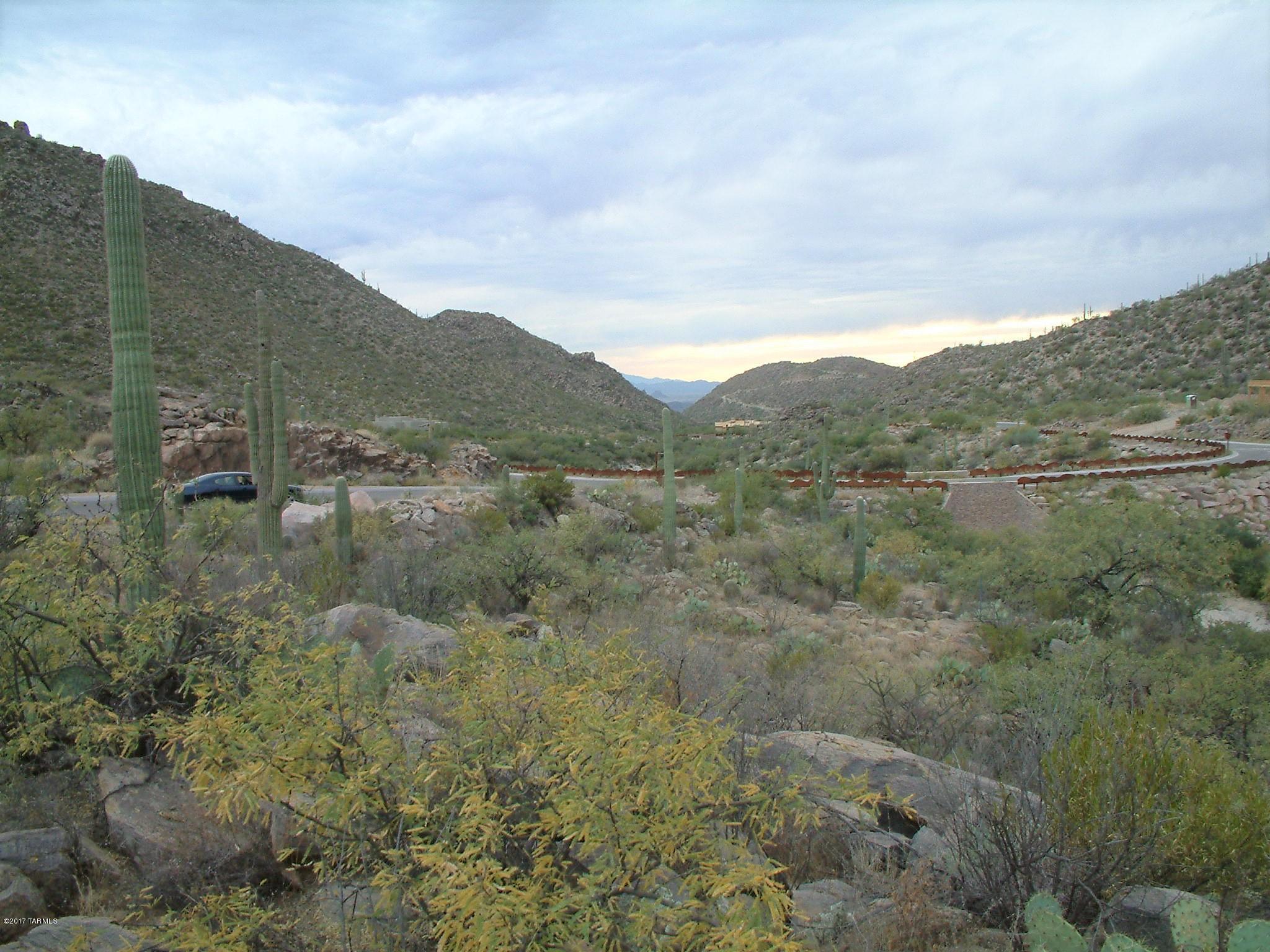 Canyon Pass III At Dove Mountain (111-181) - Land