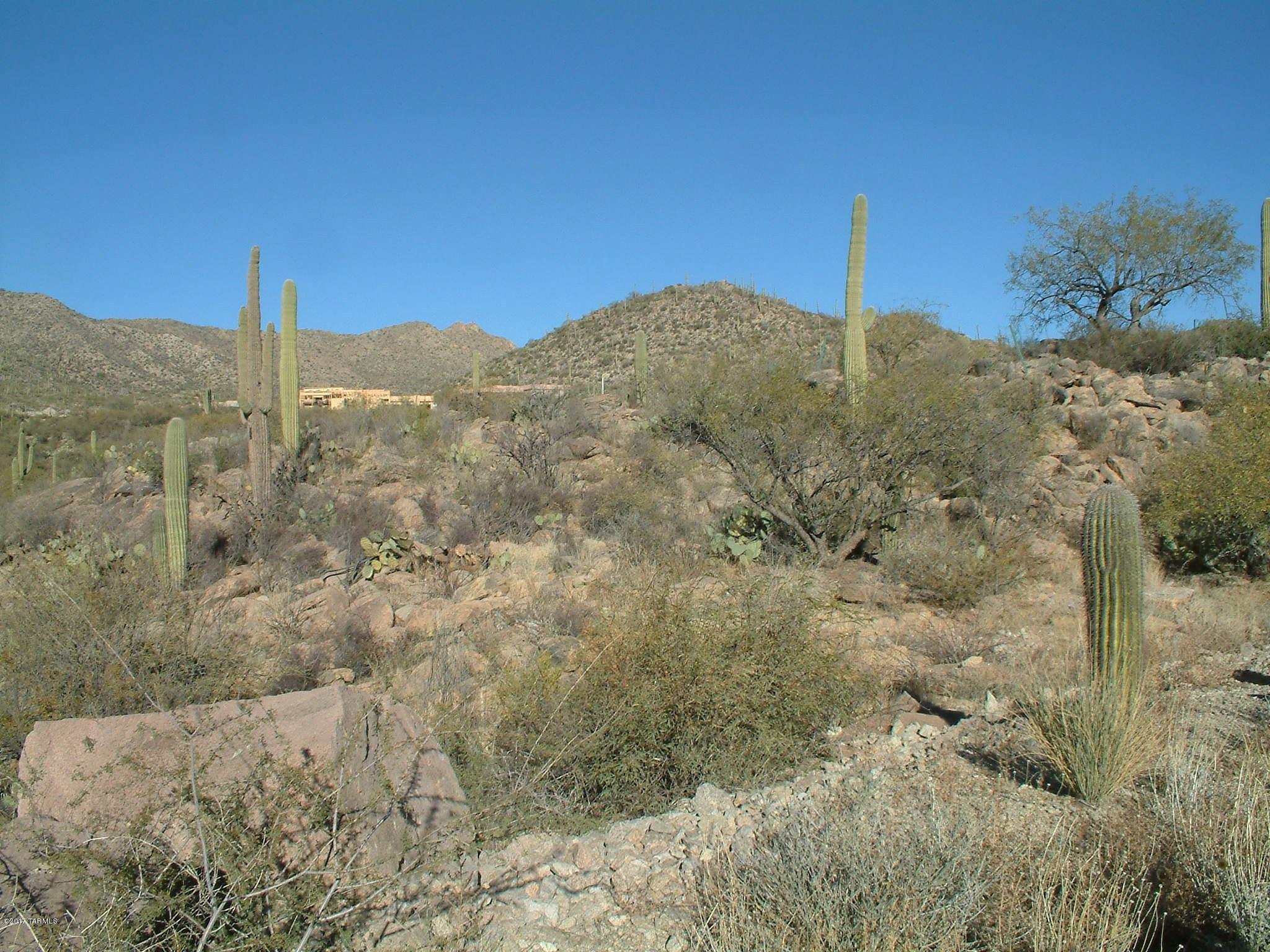 Canyon Pass III At Dove Mountain (111-181) - Land