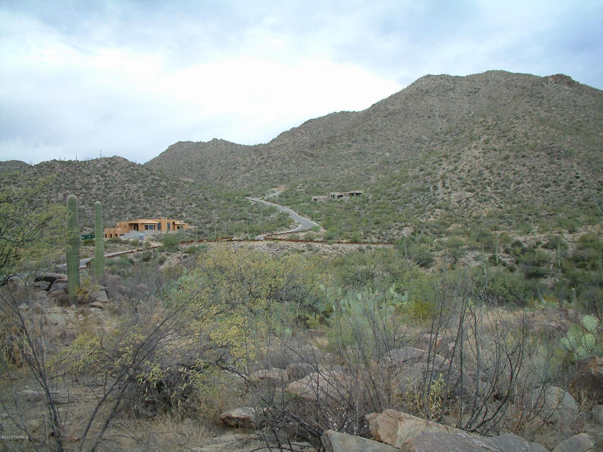 Canyon Pass III At Dove Mountain (111-181) - Land