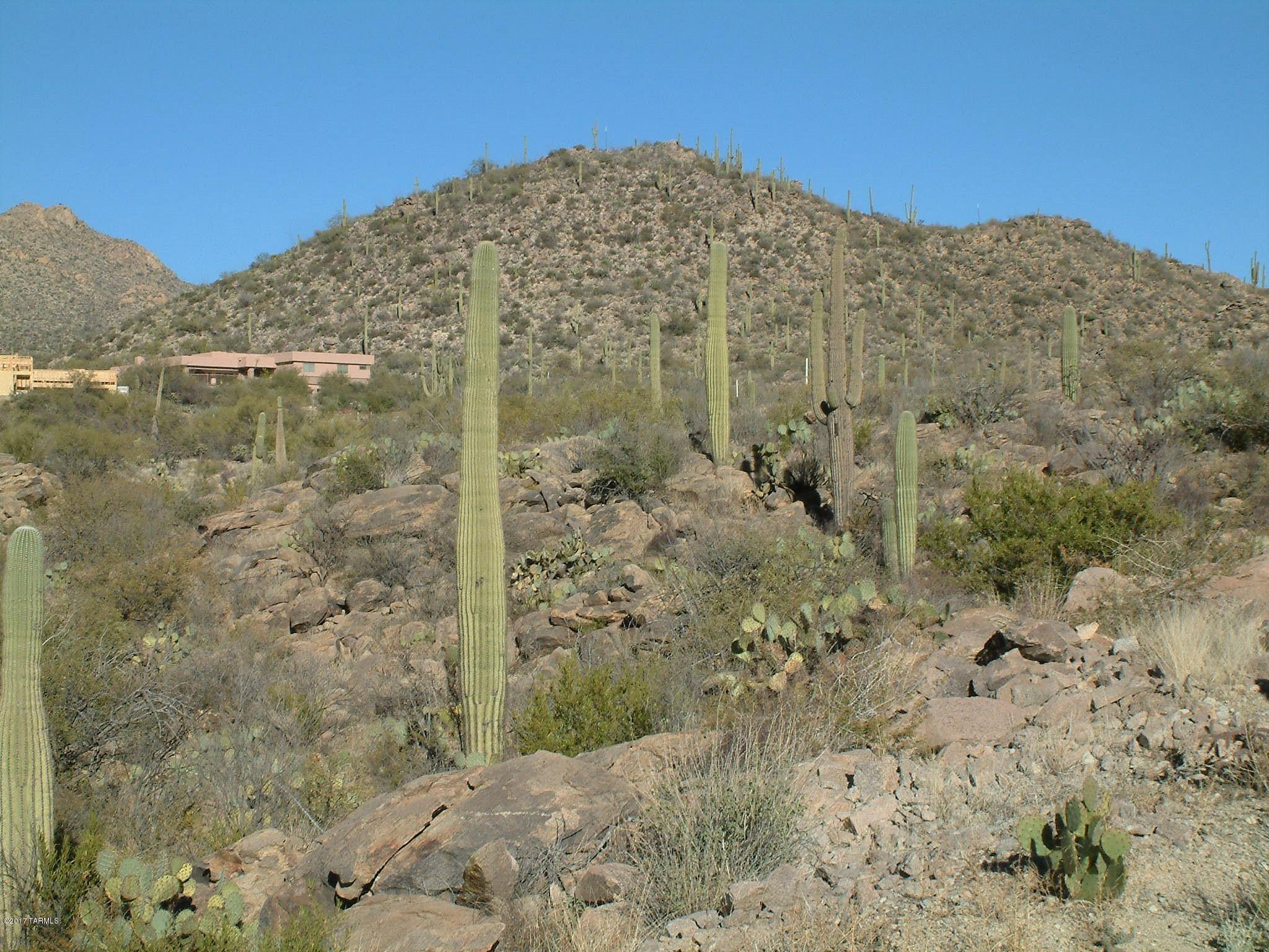 Canyon Pass III At Dove Mountain (111-181) - Land