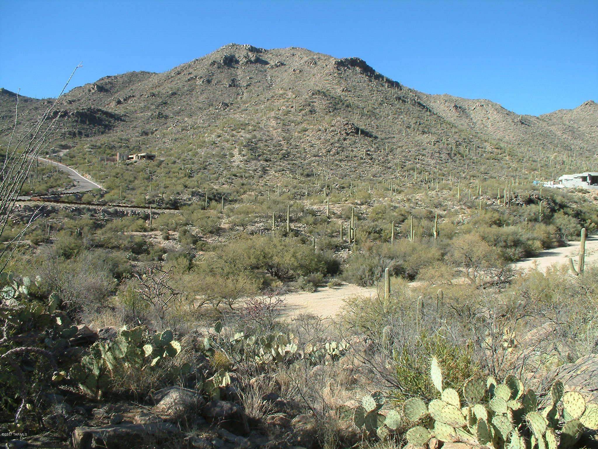 Canyon Pass III At Dove Mountain (111-181) - Land