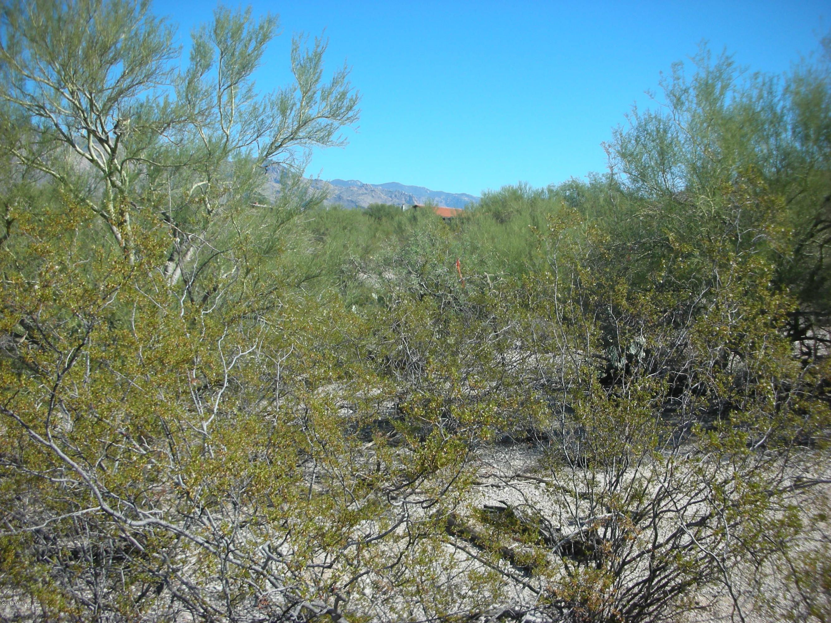 Flecha Caida Ranch Estates - Land