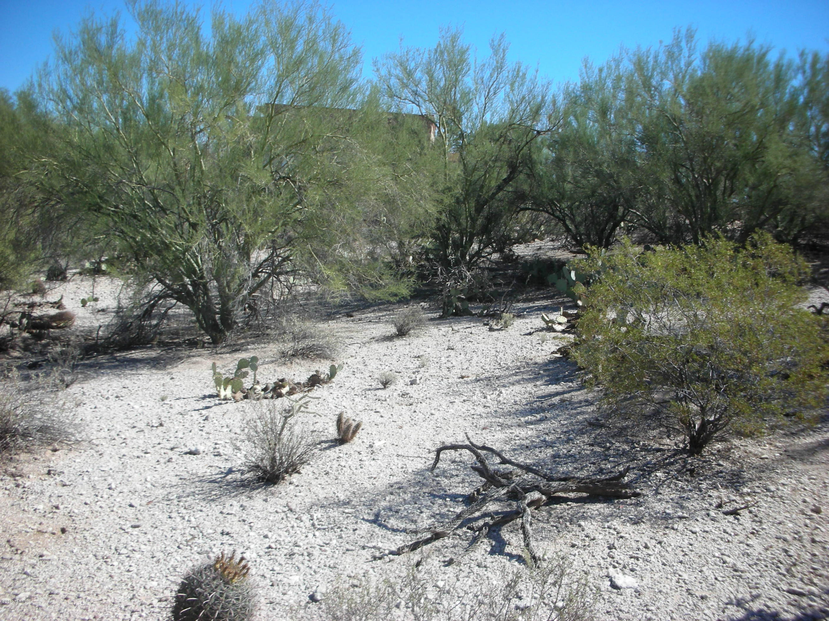Flecha Caida Ranch Estates - Land