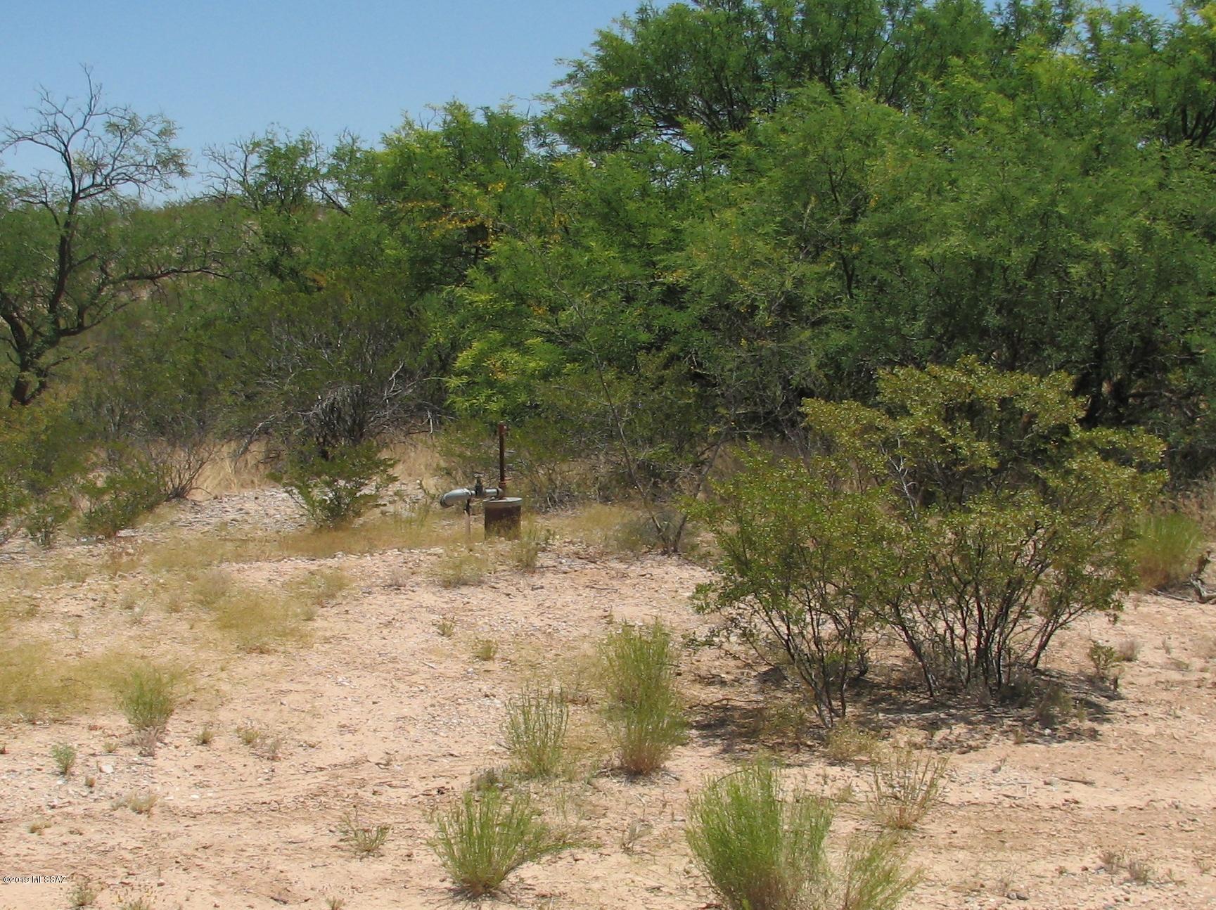Out Of Pima County - Land