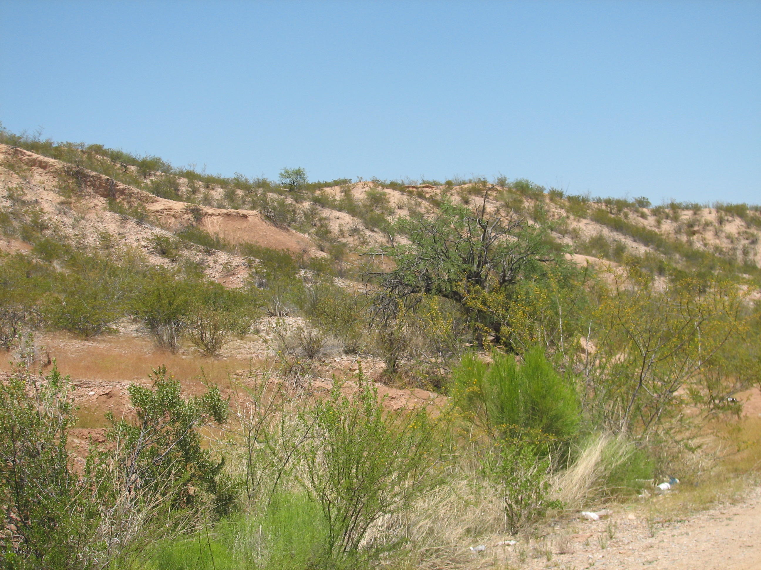 Out Of Pima County - Land