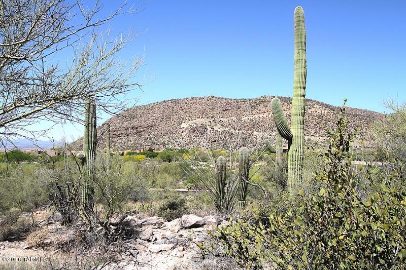 Canyon Pass At Dove Mountain(1-48) - Land