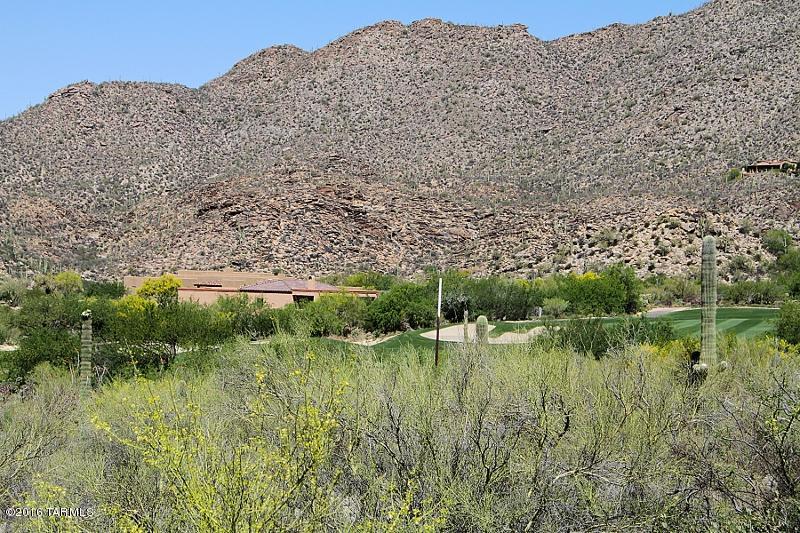 Canyon Pass At Dove Mountain(1-48) - Land