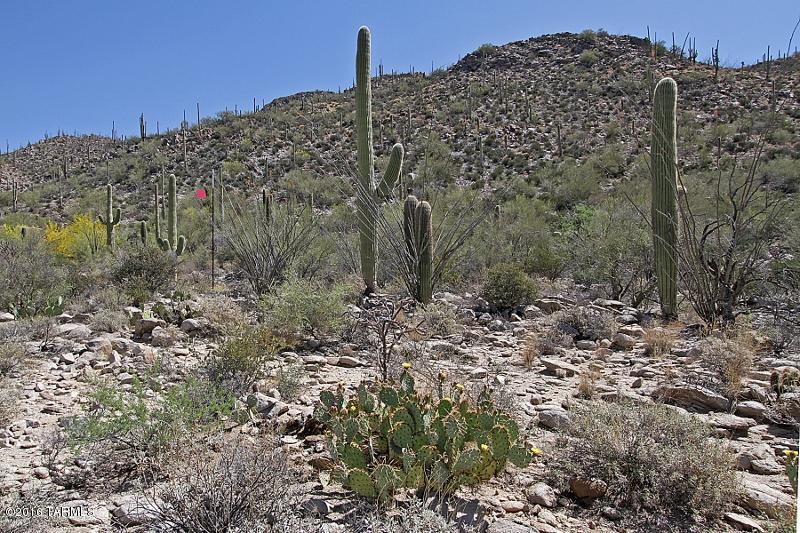 Spectacular 2+ acre build lot in the prestigious guard gated community of Canyon Pass at Dove Mountain. Saguaros and native desert vegetation along with Canyon and Golf Course views can be gleaned from the surroundings. Predominantly flat terrain lends to an easy build on this estate sized lot.