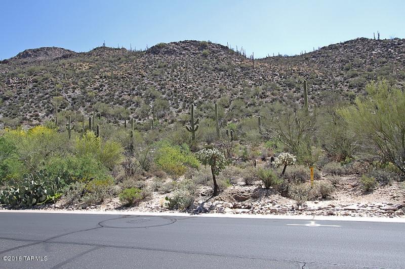 Canyon Pass At Dove Mountain(1-48) - Land