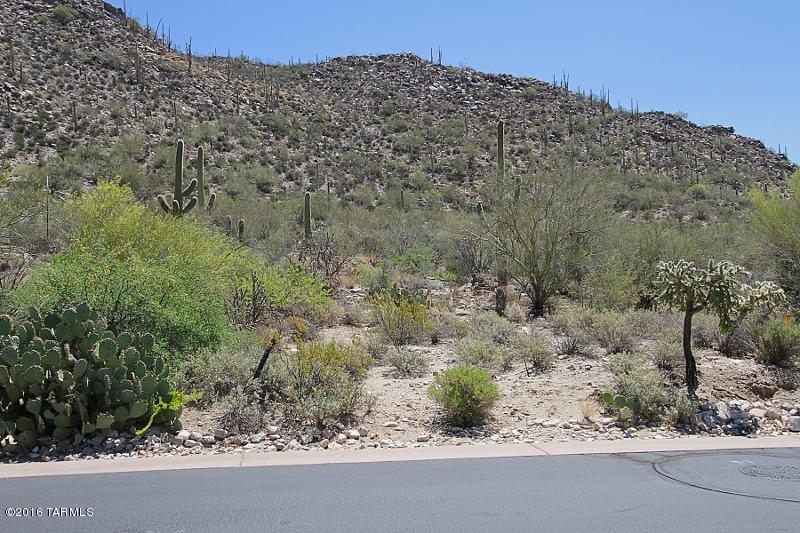 Canyon Pass At Dove Mountain(1-48) - Land