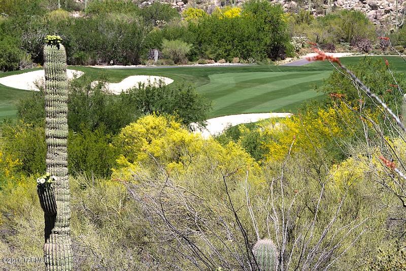 Canyon Pass At Dove Mountain(1-48) - Land