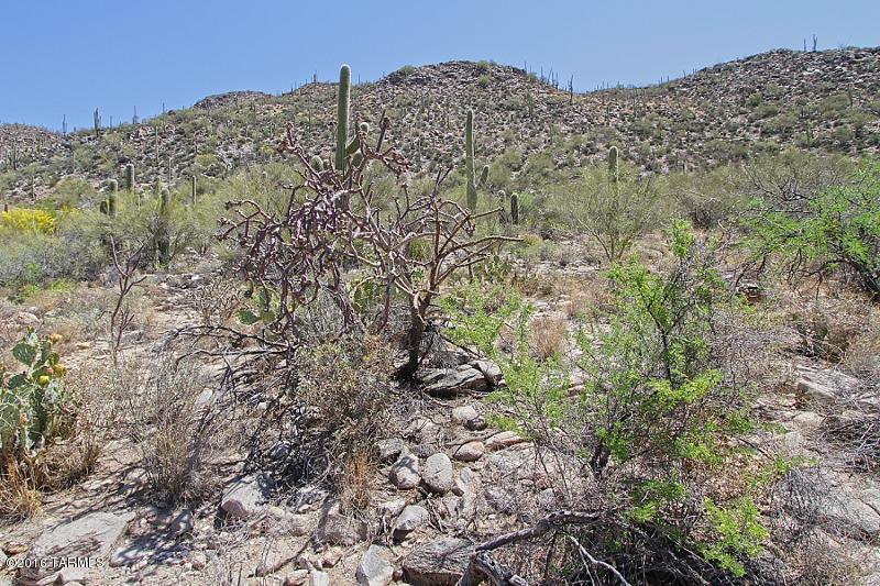 Canyon Pass At Dove Mountain(1-48) - Land