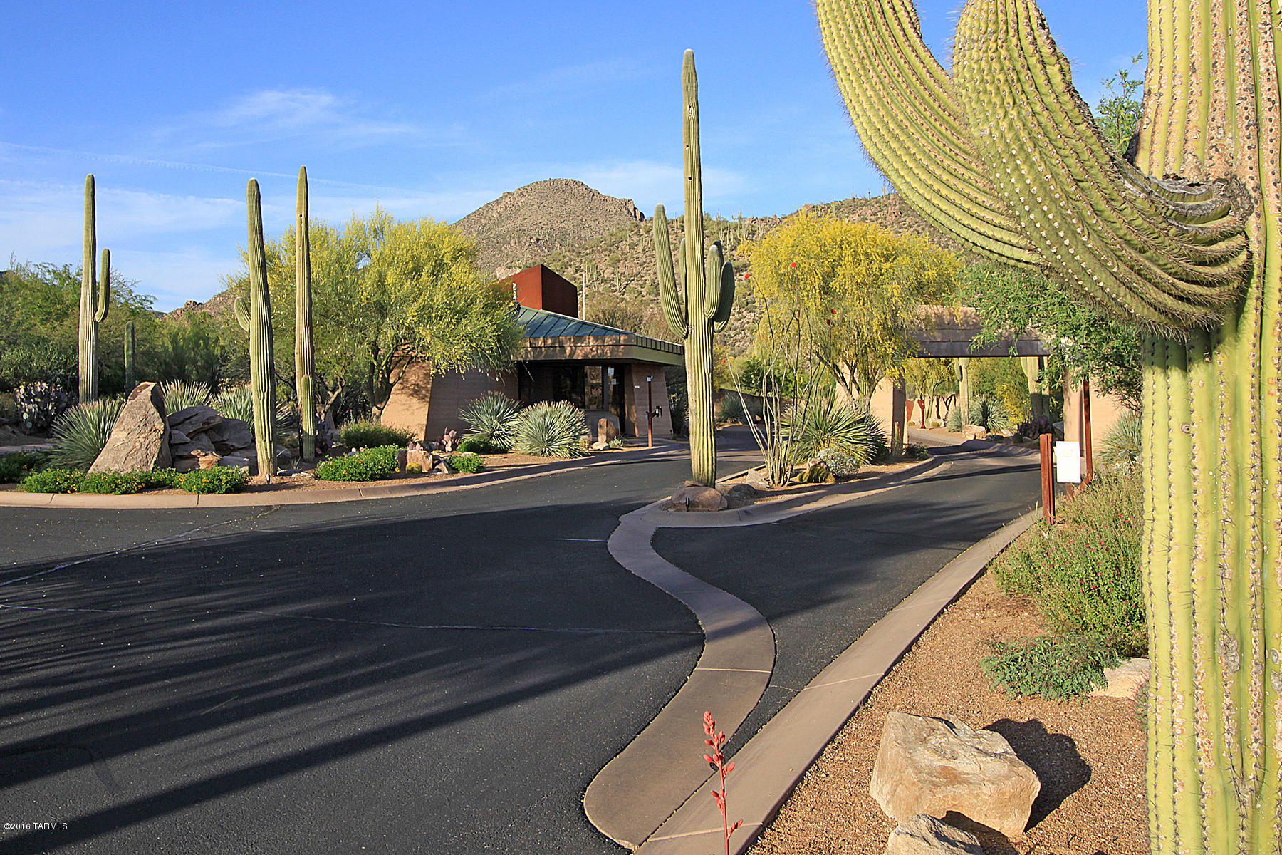 Canyon Pass At Dove Mountain(1-48) - Land