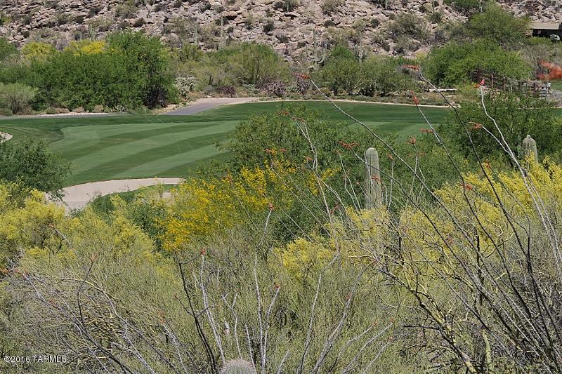 Canyon Pass At Dove Mountain(1-48) - Land
