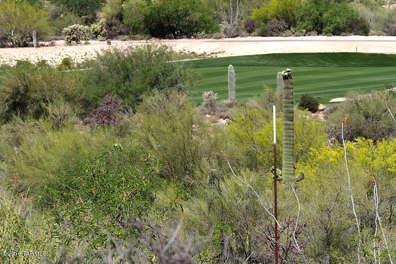 Canyon Pass At Dove Mountain(1-48) - Land