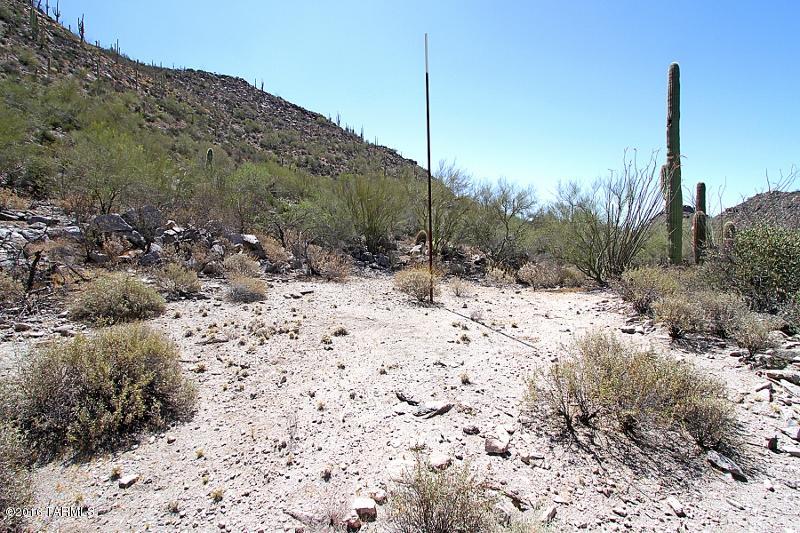 Canyon Pass At Dove Mountain(1-48) - Land
