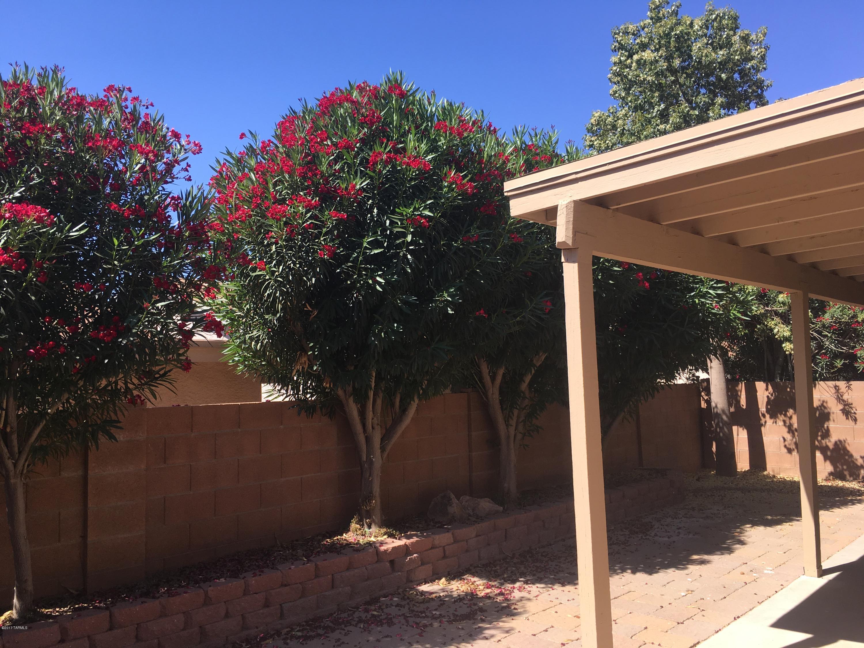 Country Club(1-221) - Residential