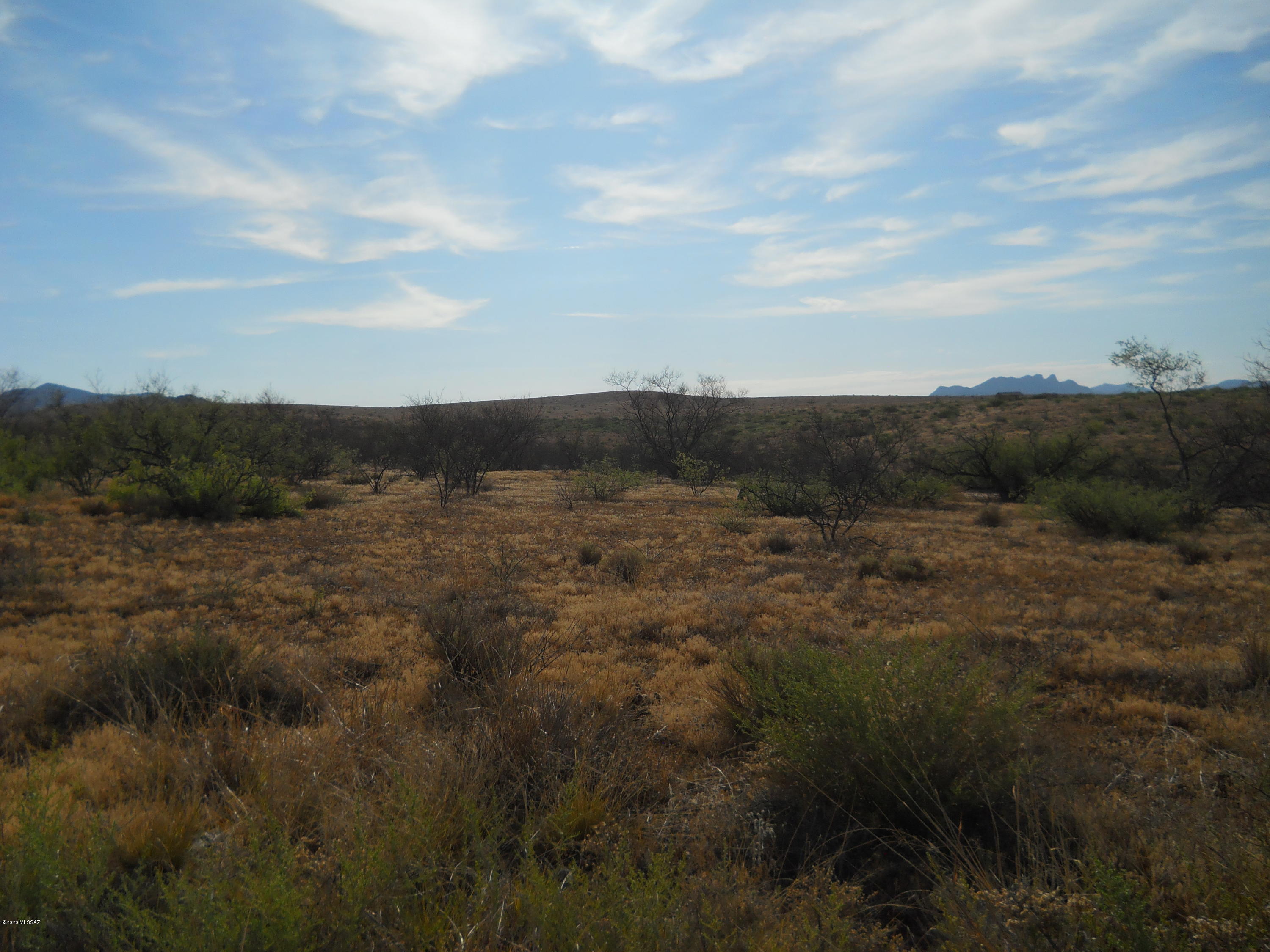 Located in rolling hills on Jeffords Trail. Great mountain views with 39 acres. Great place for horses with lots of places to ride. Electric available in area. County shows it is in flood zone X (as long as you don't build in a wash). Additional lot is available at same price.