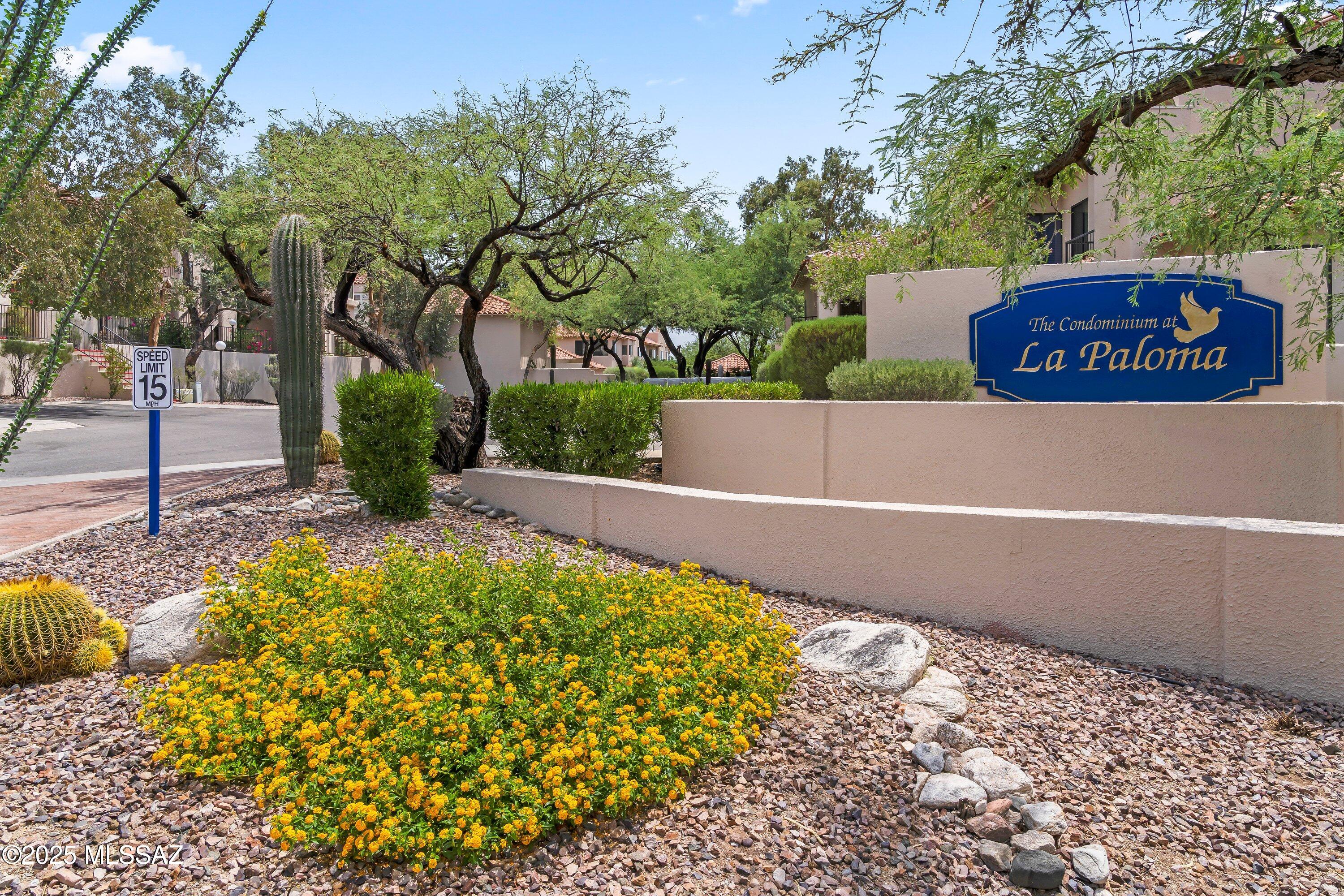 A perfect primary, secondary home or winter escape that ticks all the boxes. This pristine 2 bedroom 2 bath La Paloma condominium dazzles with its glorious Catalina Mountain and sunset views from the outside balcony, living room and owners' suite. Immaculate inside, with newer appliances and all polybutylene pipes replaced with copper. Walk from the inviting living area with its sloped ceiling and contrasting gray and white walls past the wood burning fireplace into a cozy dining room that flows into a well thought out kitchen with ample counter space, an induction range and extended counter space that could serve as a home office. Find also a laundry room with added storage and a hall door providing direct access to the attached garage. Then wander into the elegant primary suite with plenty of space, a well appointed designer closet, private commode and a step-in shower. The ample home is completed by a separate bedroom with en-suite bath for your guests and family. This special space is complemented by the community pool and spa available to owners, as well as proximity to the fabulous La Paloma Resort and Country Club. Very attractively priced below comps."
