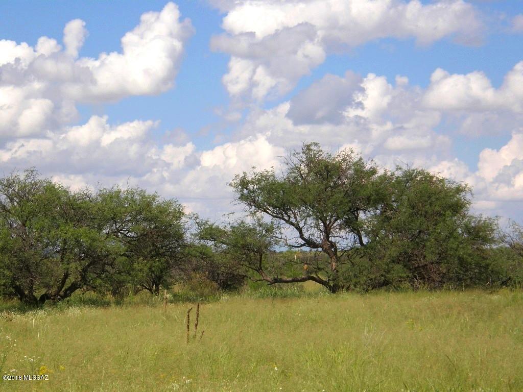 Dragoon Mountain Ranch - Land