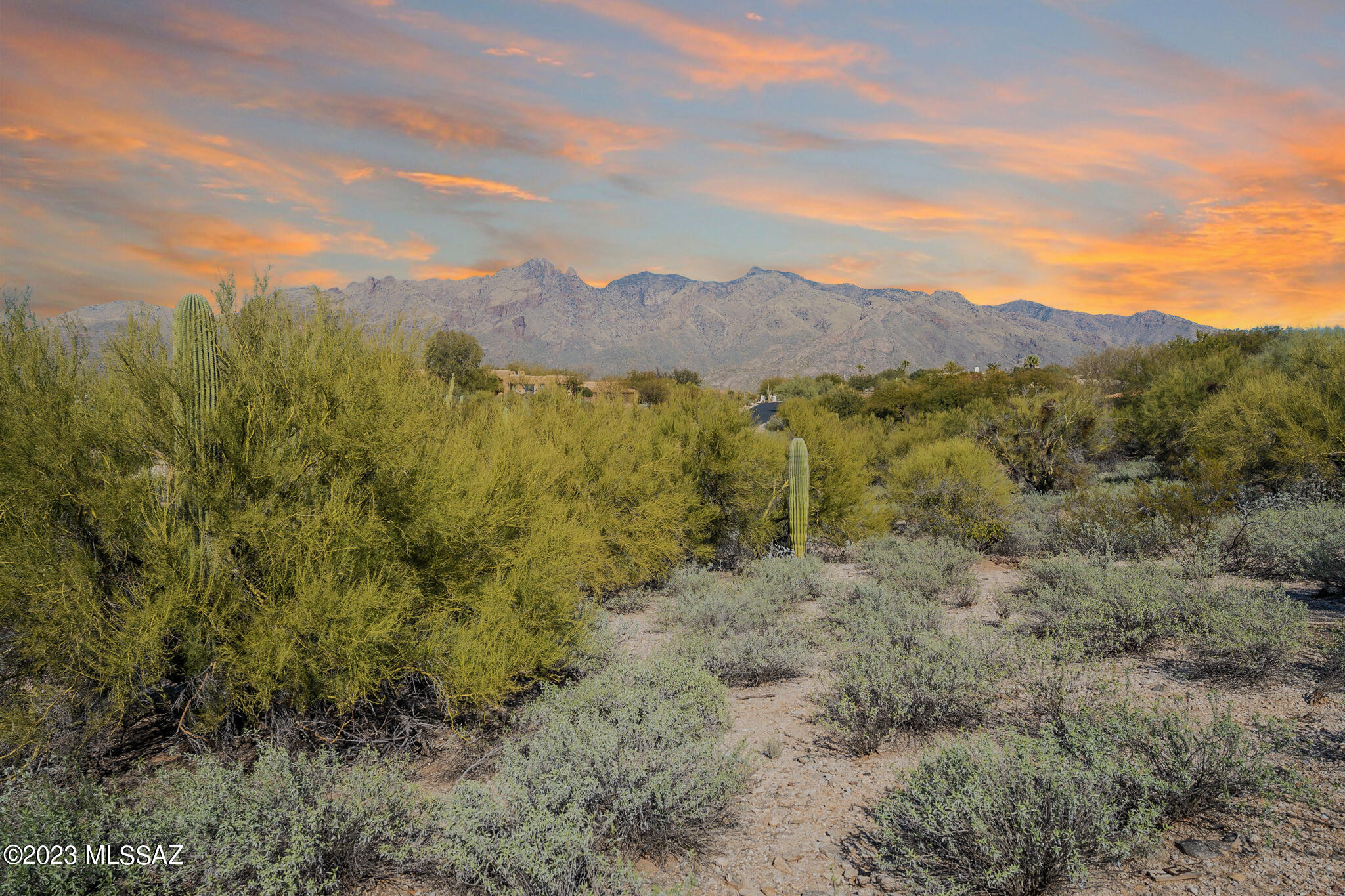 La Paloma Estates (36-52) - Land