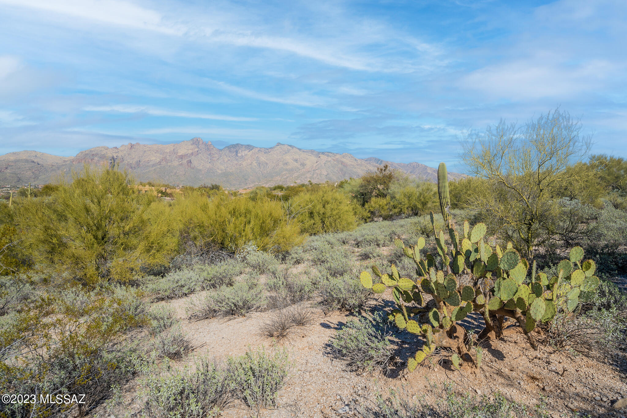 La Paloma Estates (36-52) - Land