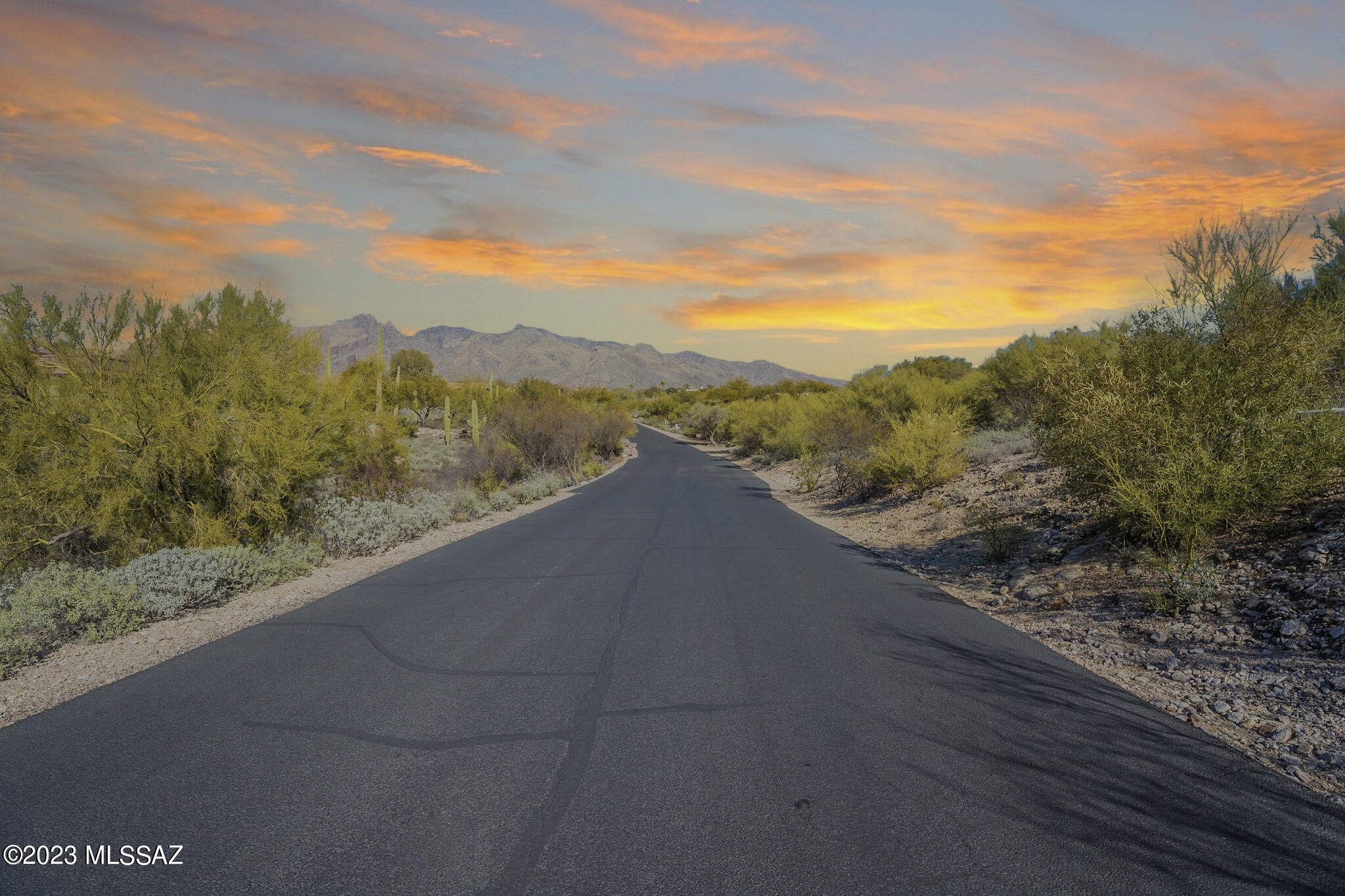 La Paloma Estates (36-52) - Land
