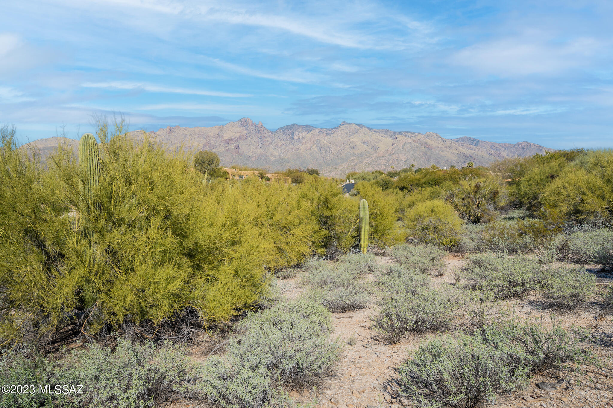 La Paloma Estates (36-52) - Land