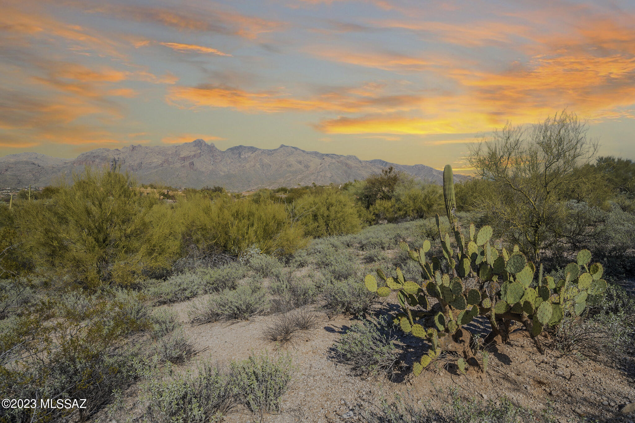 La Paloma Estates (36-52) - Land