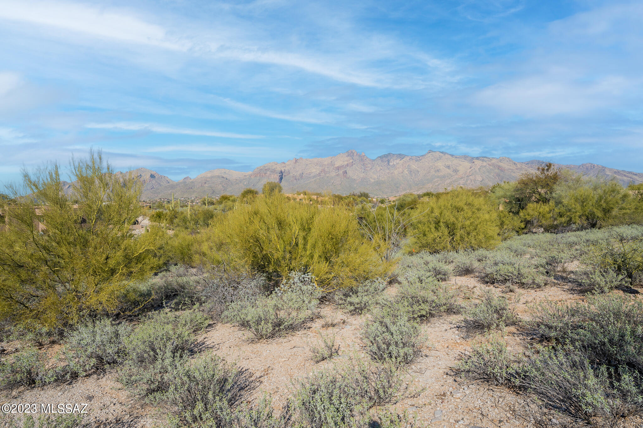 La Paloma Estates (36-52) - Land