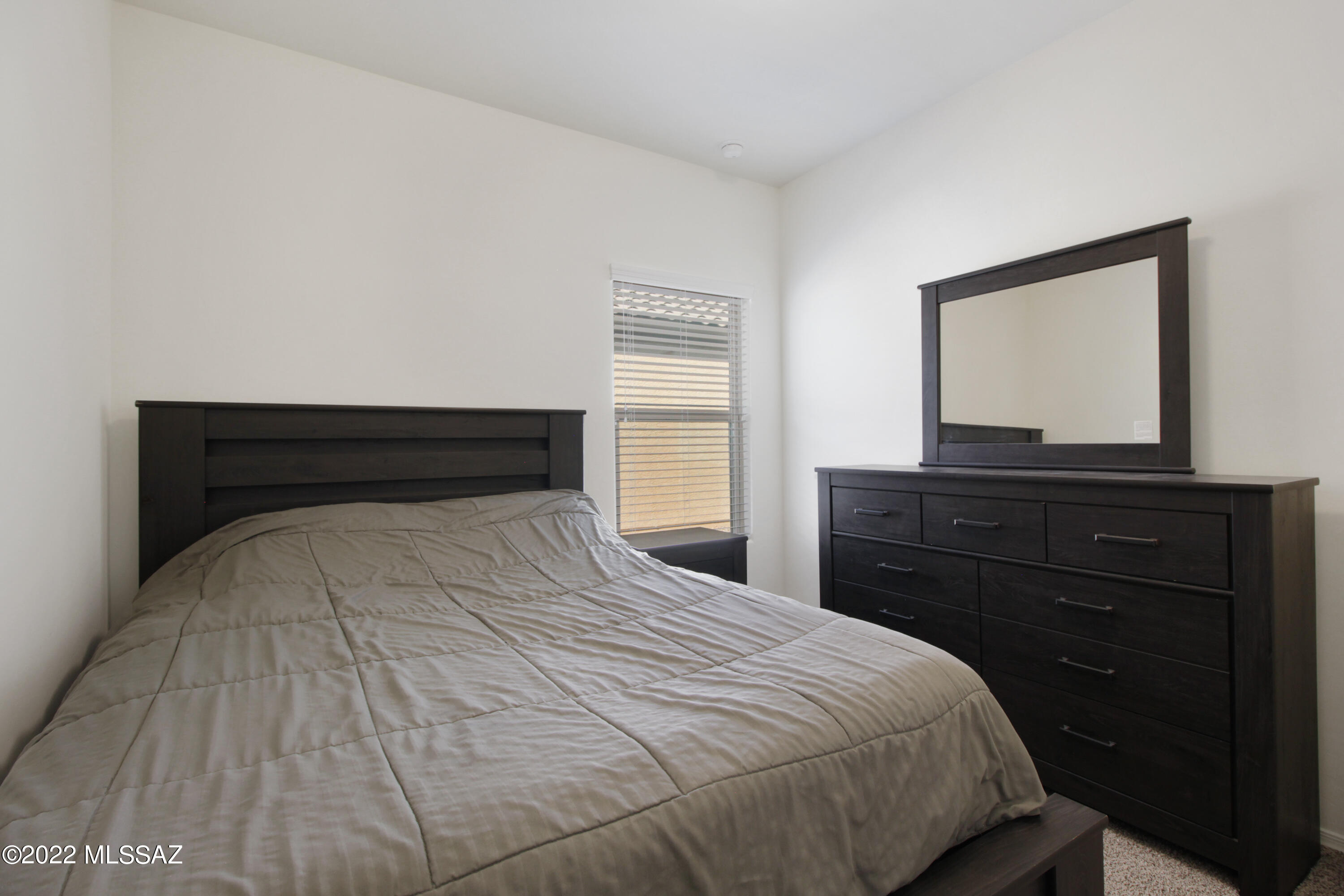 Saguaro Bloom SQ20180540069 - Residential