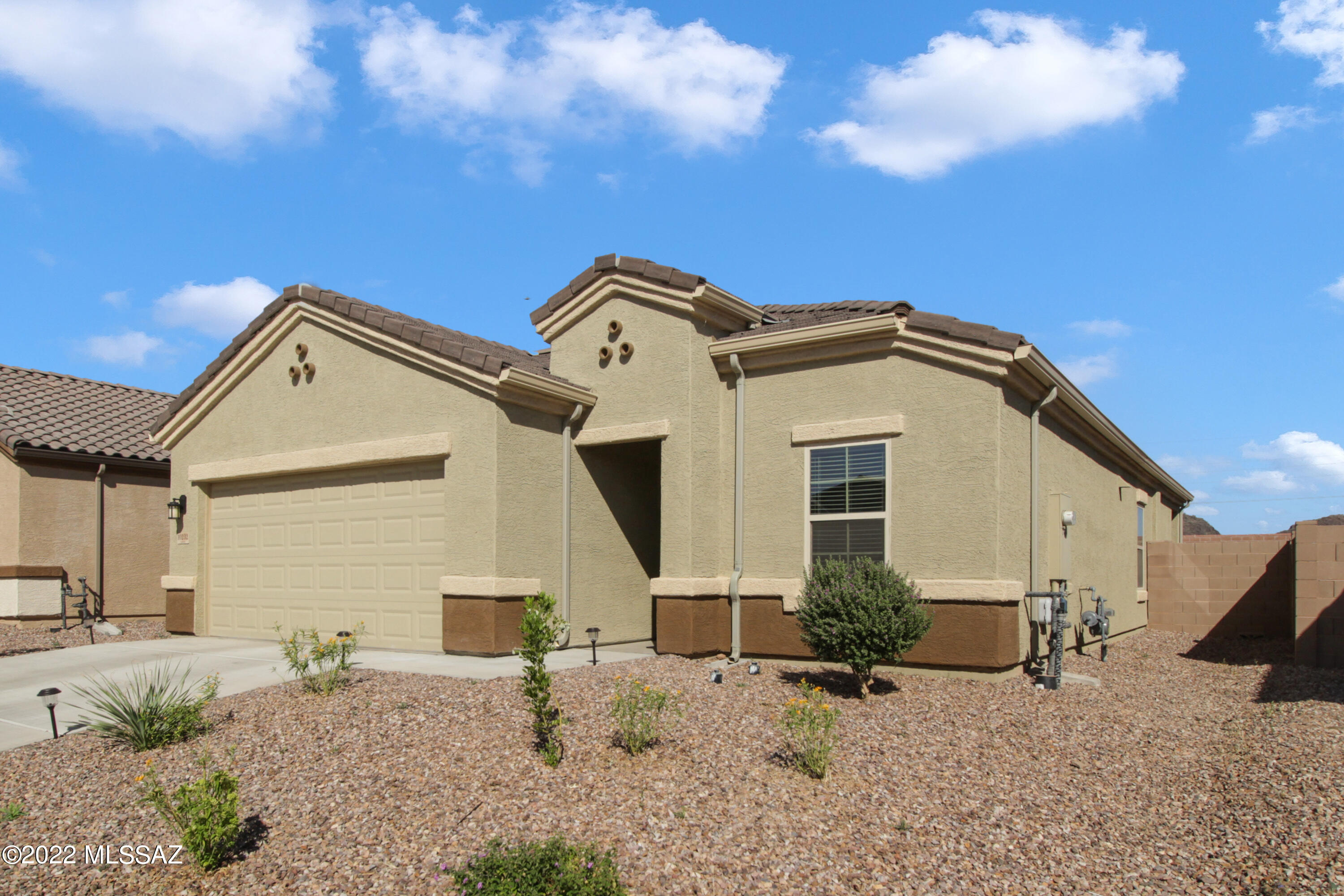Saguaro Bloom SQ20180540069 - Residential