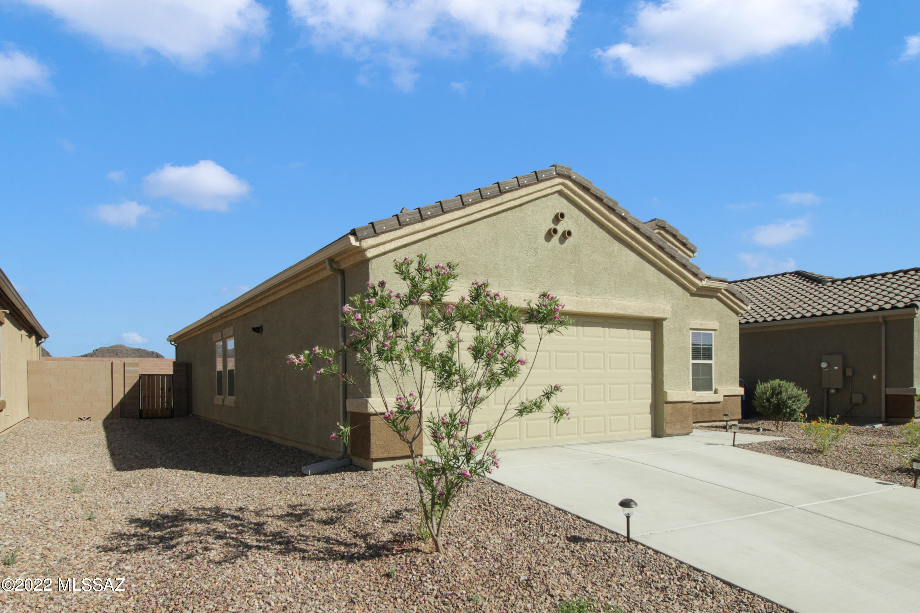 Saguaro Bloom SQ20180540069 - Residential