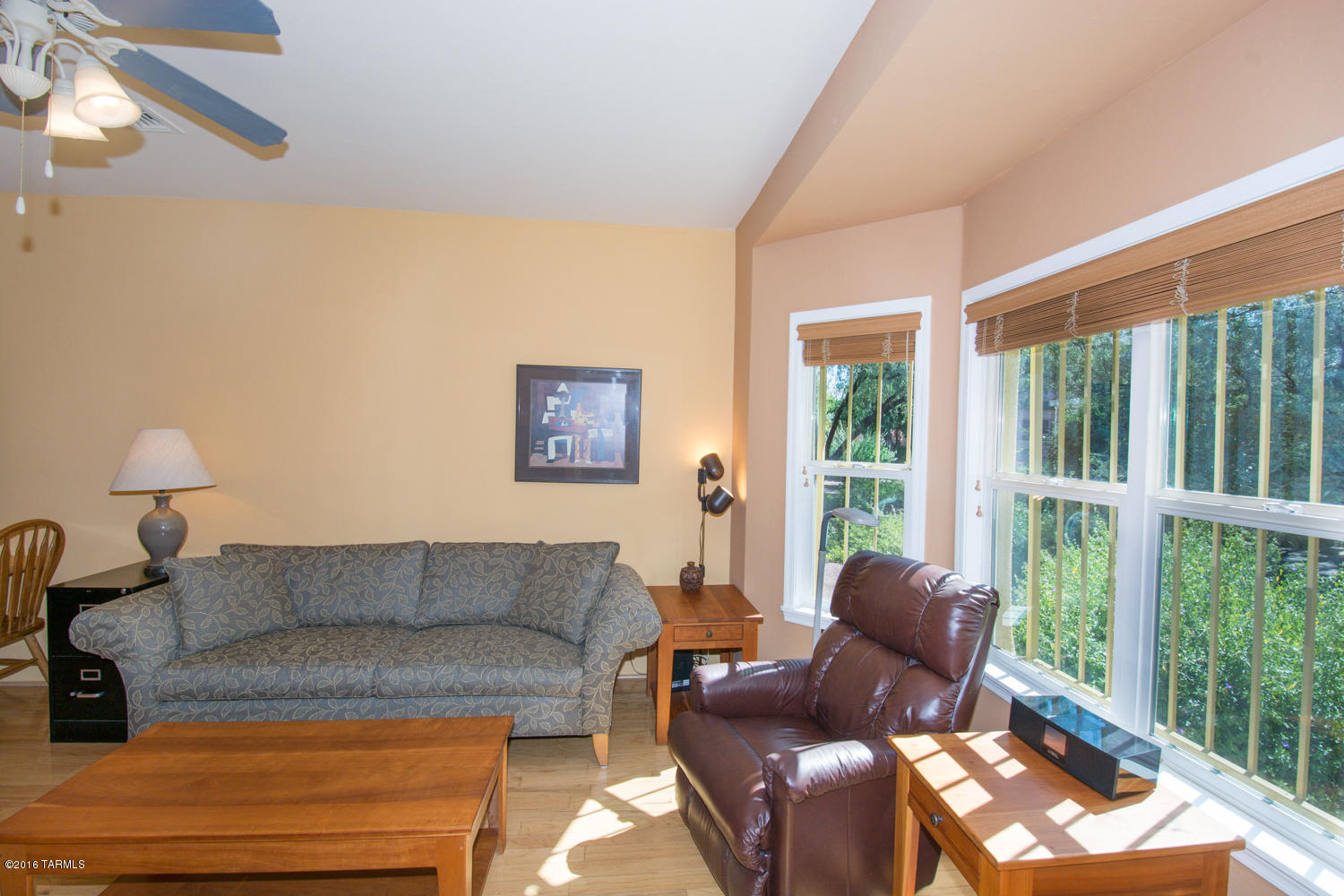 Armory Park Del Sol - Residential