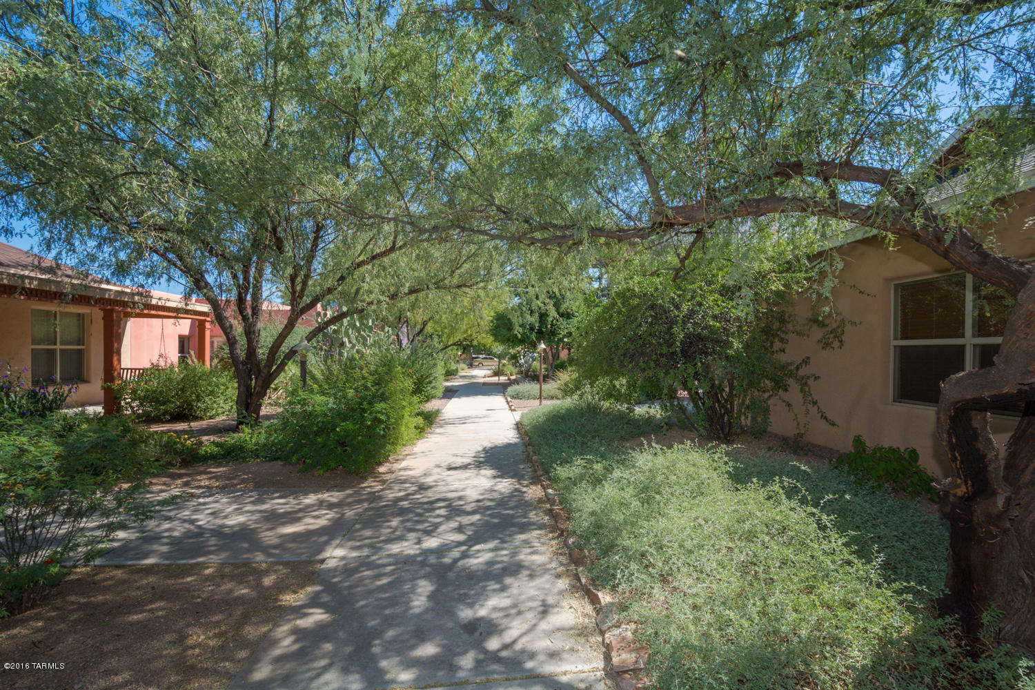 Armory Park Del Sol - Residential