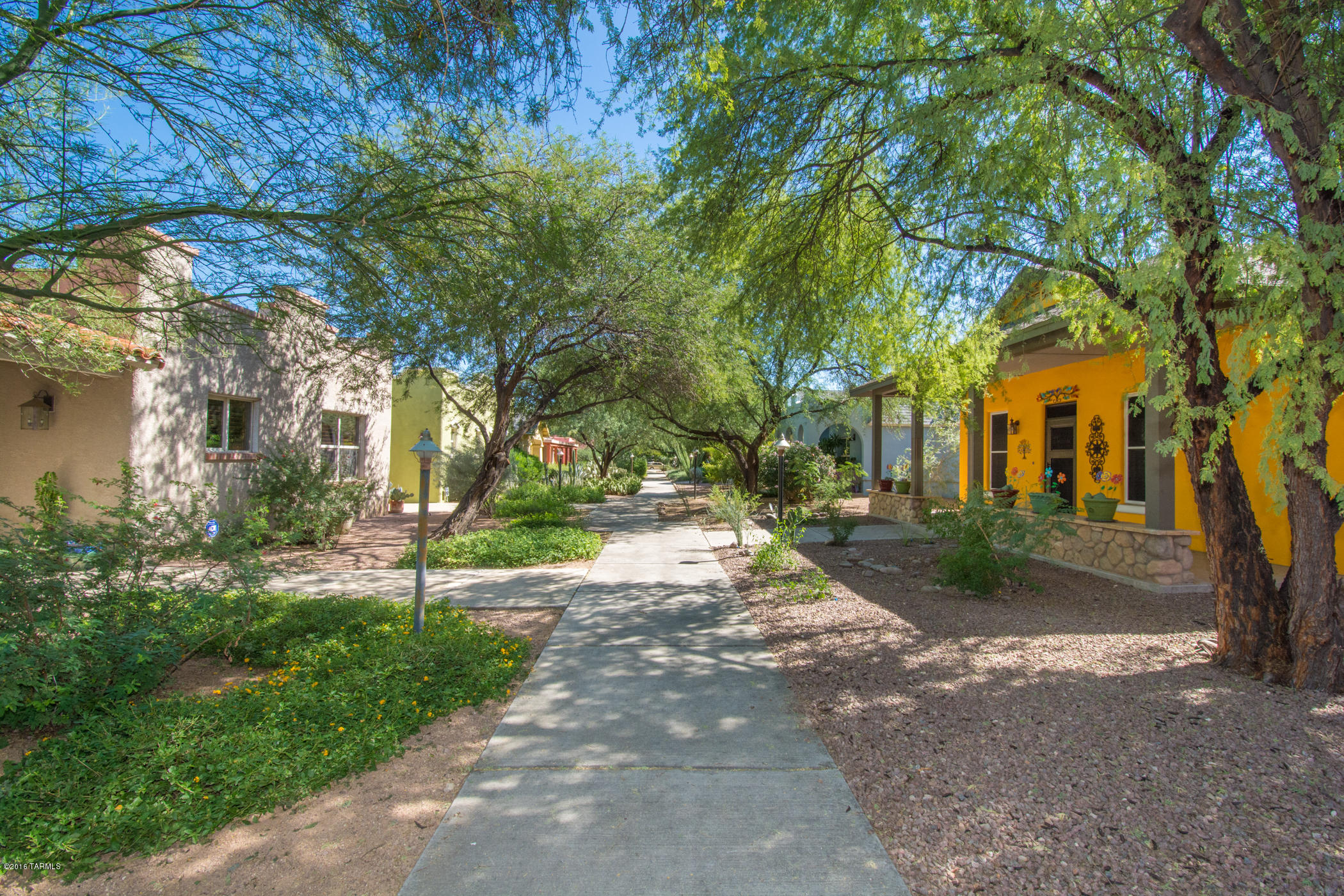 Armory Park Del Sol - Residential