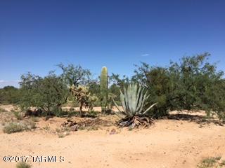 A great opportunity to purchase a flat acre lot with utilities on the lot. This 1 acre horse property had a mobile home at one time. Great mountain views and plenty of room to roam. Don't miss out on this great opportunity to own your piece of tranquility.