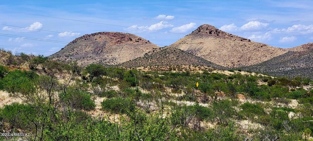 36.16 acre of level and rolling land. Borders Gleeson Road and Stetson Drive, electric is on two sides of the property. A wash meandering through the property adds beauty to the acreage. The area is peaceful and offers phenomenal mountain views, by day, and star strung skies, by night. Just over 20 minutes to Tombstone. The perfect place to build your dreams!