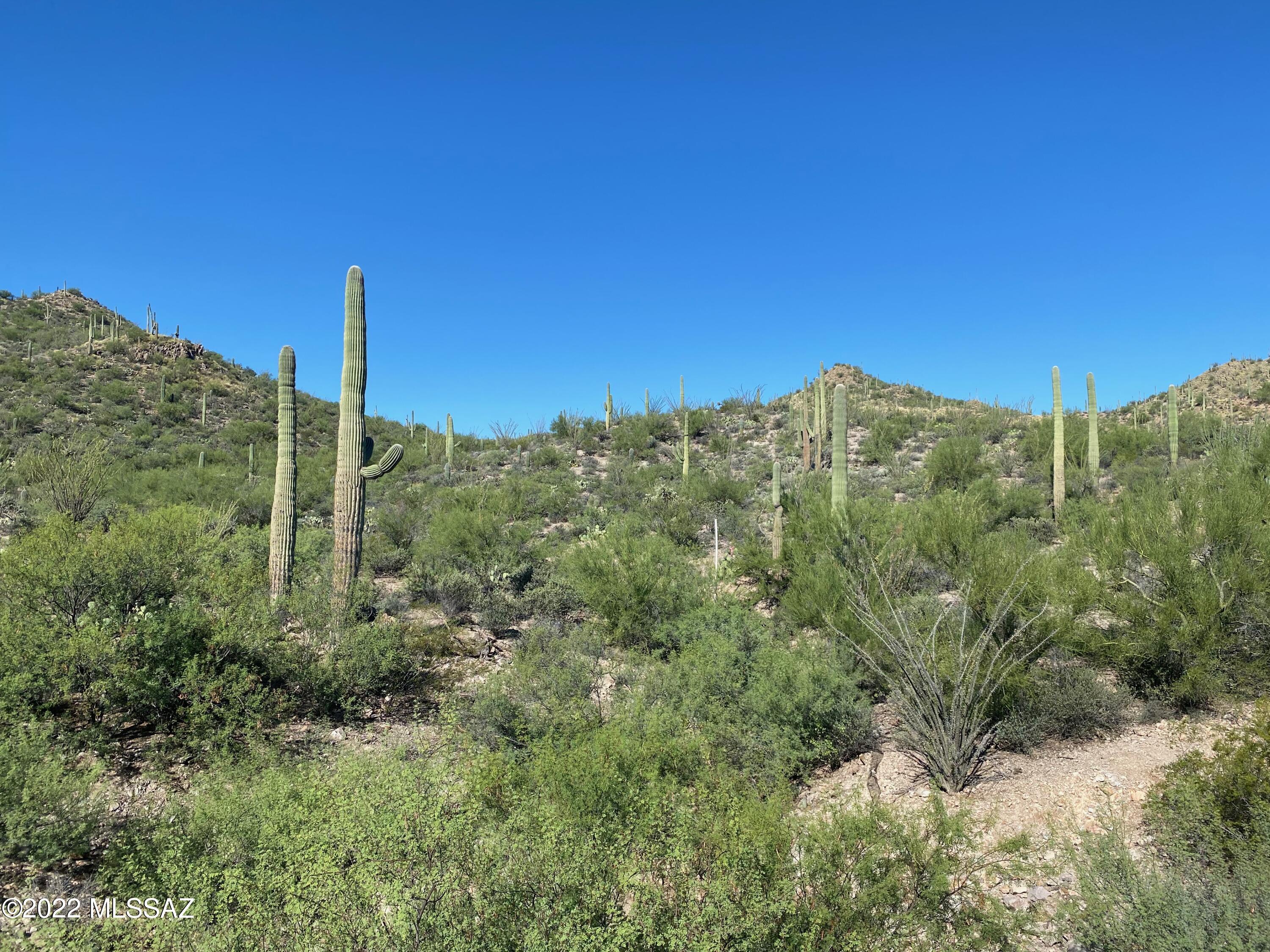 Wildcat Pass (1-61) - Land