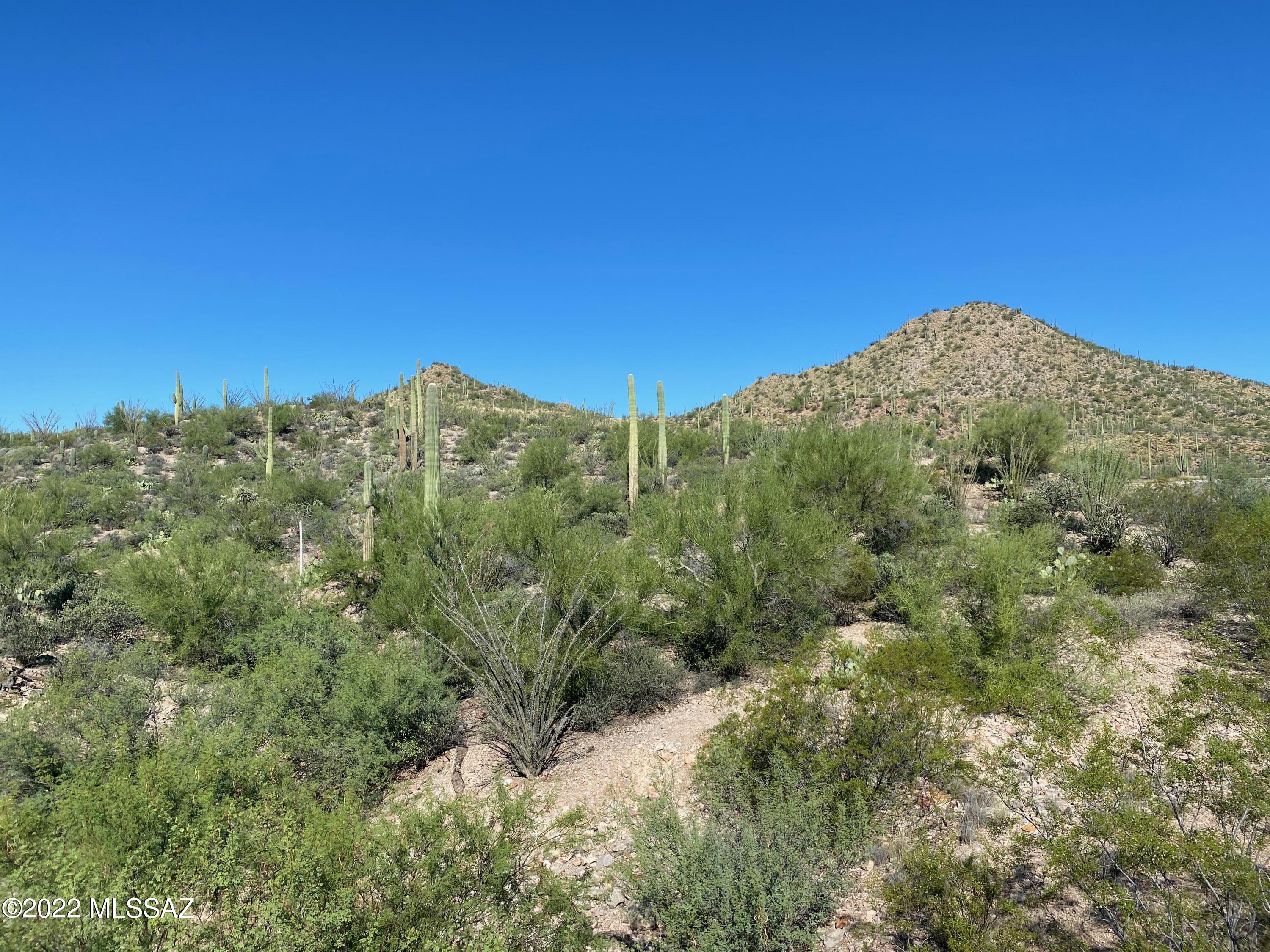 Wildcat Pass (1-61) - Land