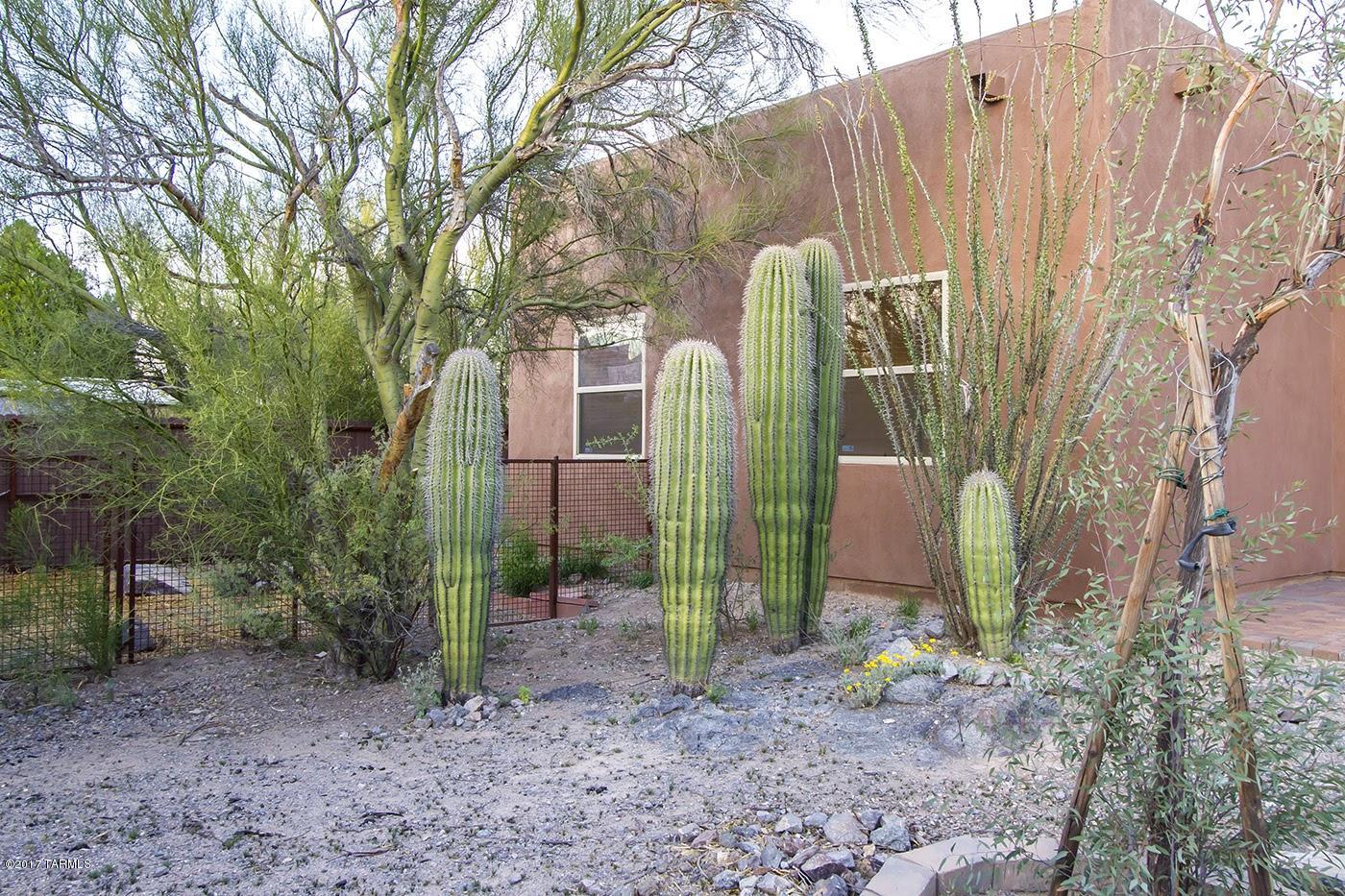 Paradise Mountain Estates - Residential