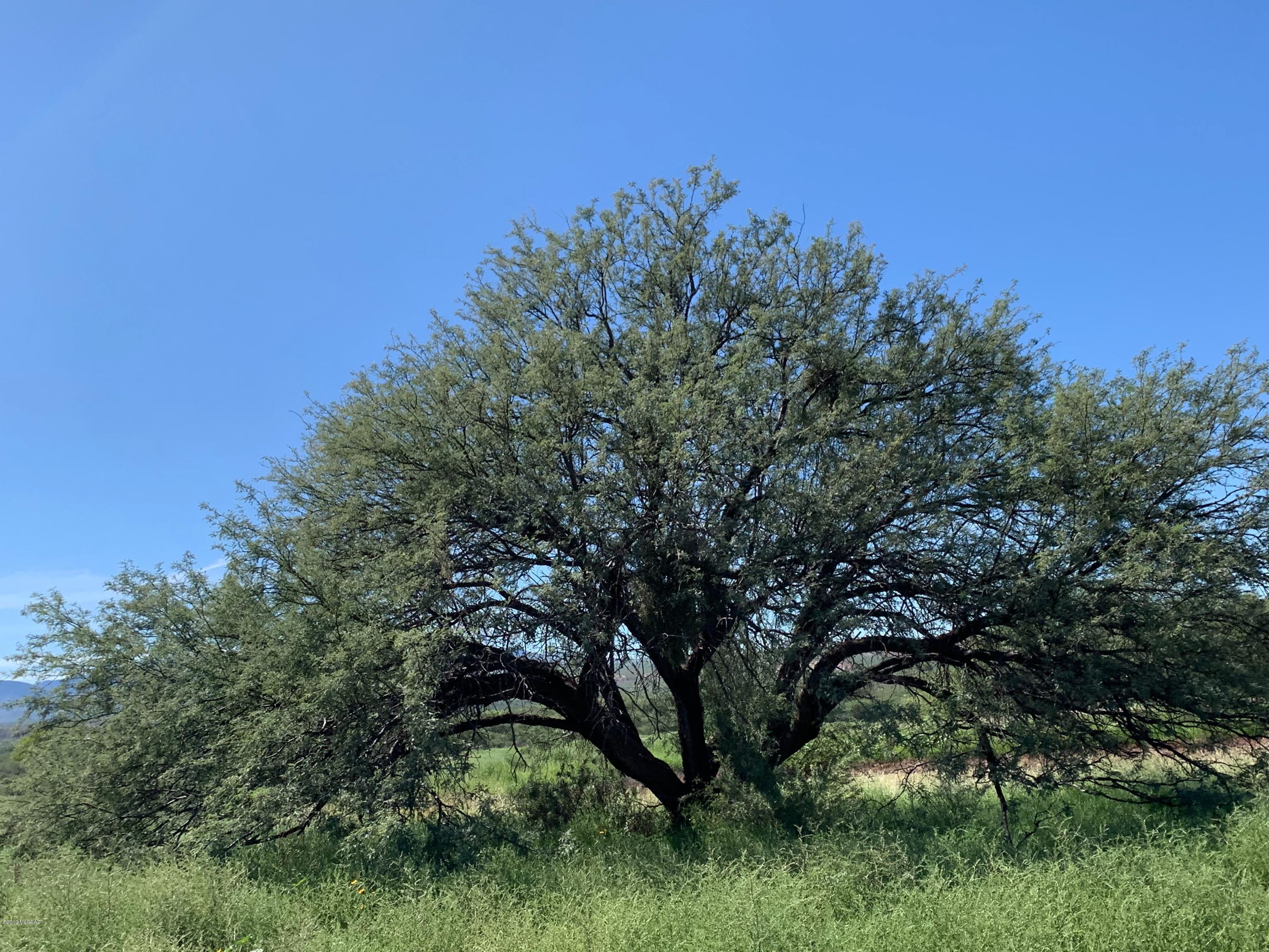 Other/Unknown - Land