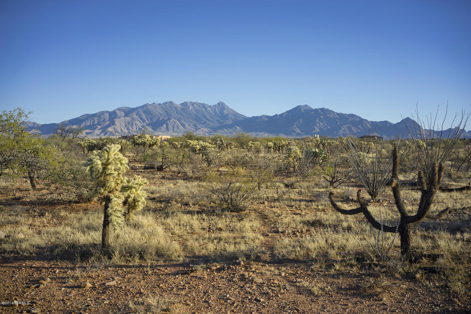 Premium custom homesite with breathtaking panoramic views of the Santa Ritas & Elephant Head. Superb 2-acre lot in small exclusive & gated community of only 50 lots. Close to schools, shopping, medical & golf courses. Only 25 minutes from Tucson Airport. Amazing value and price for this quiet, serene desert setting (seller paid $175,000).