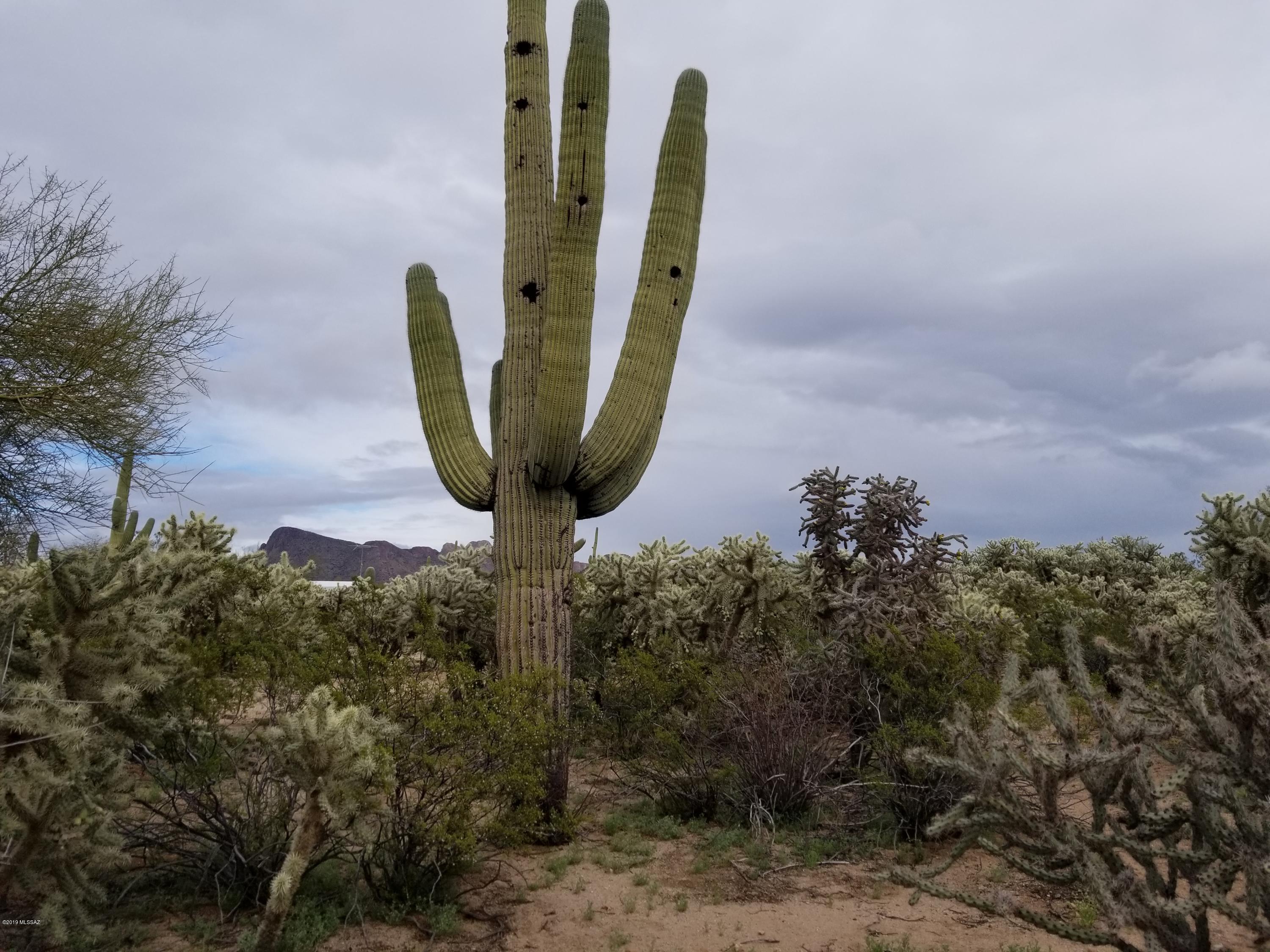 Wonderful 1 acre flat parcel of land. Developed area.  Property being sold as part of an Estate Sale. Utilities including Water, Septic and Electricity may already be onsite. Buyer to verify all facts regarding the current state of this property.  Vacant parcel.