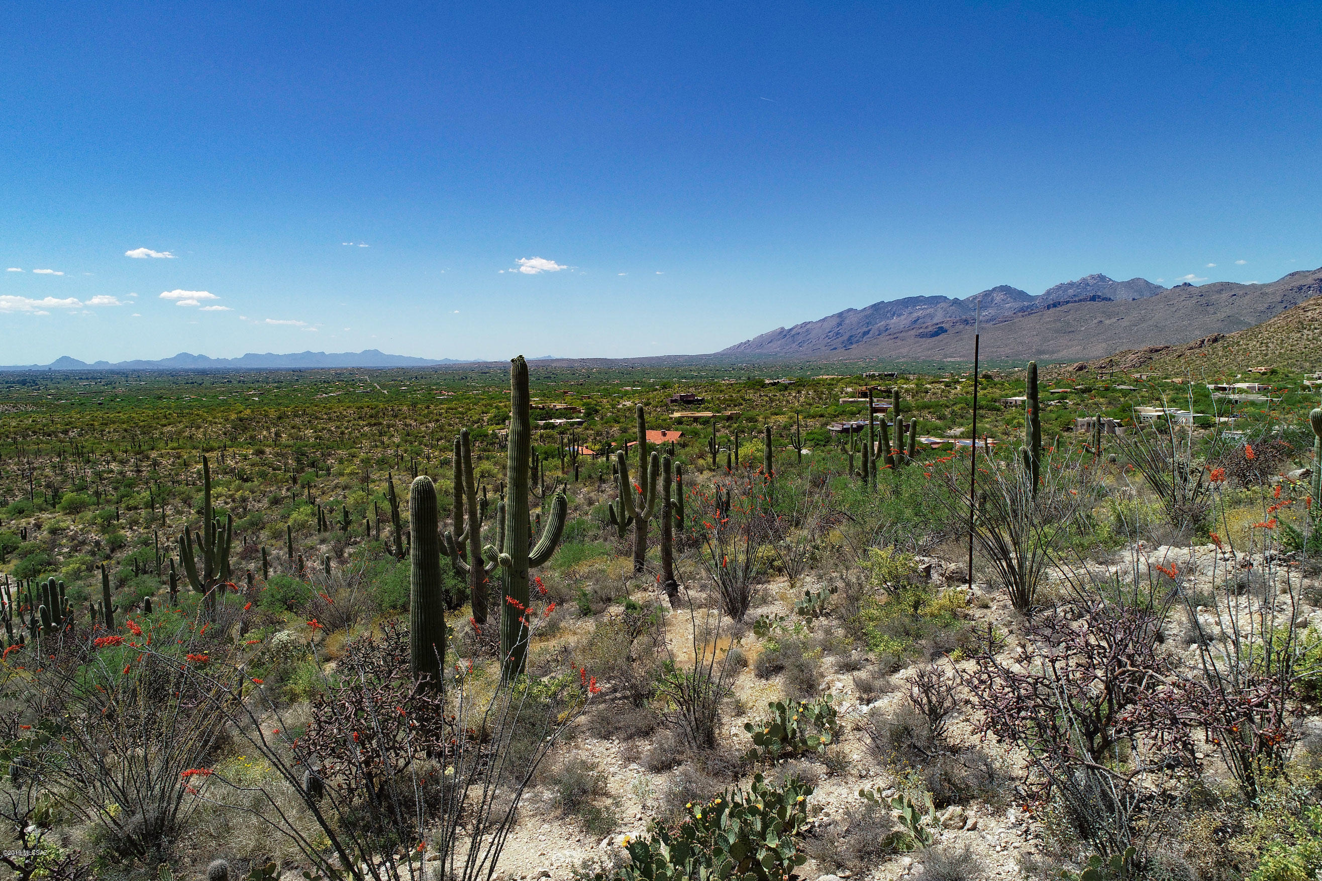 Rinconado Estates (1-13) - Land