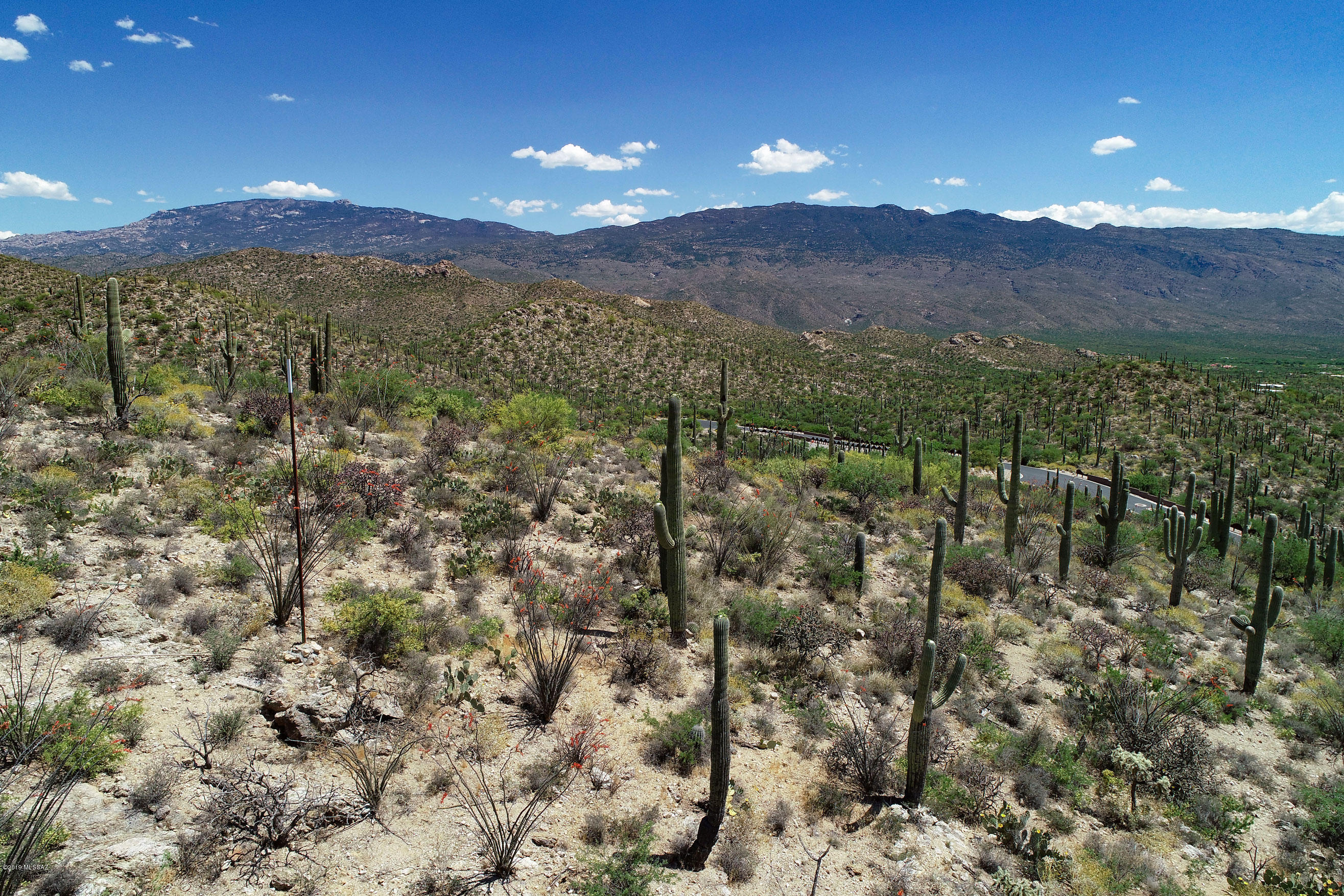 Rinconado Estates (1-13) - Land