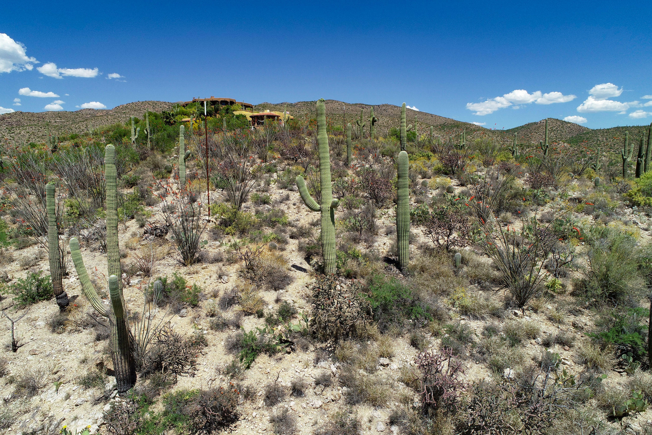 Rinconado Estates (1-13) - Land